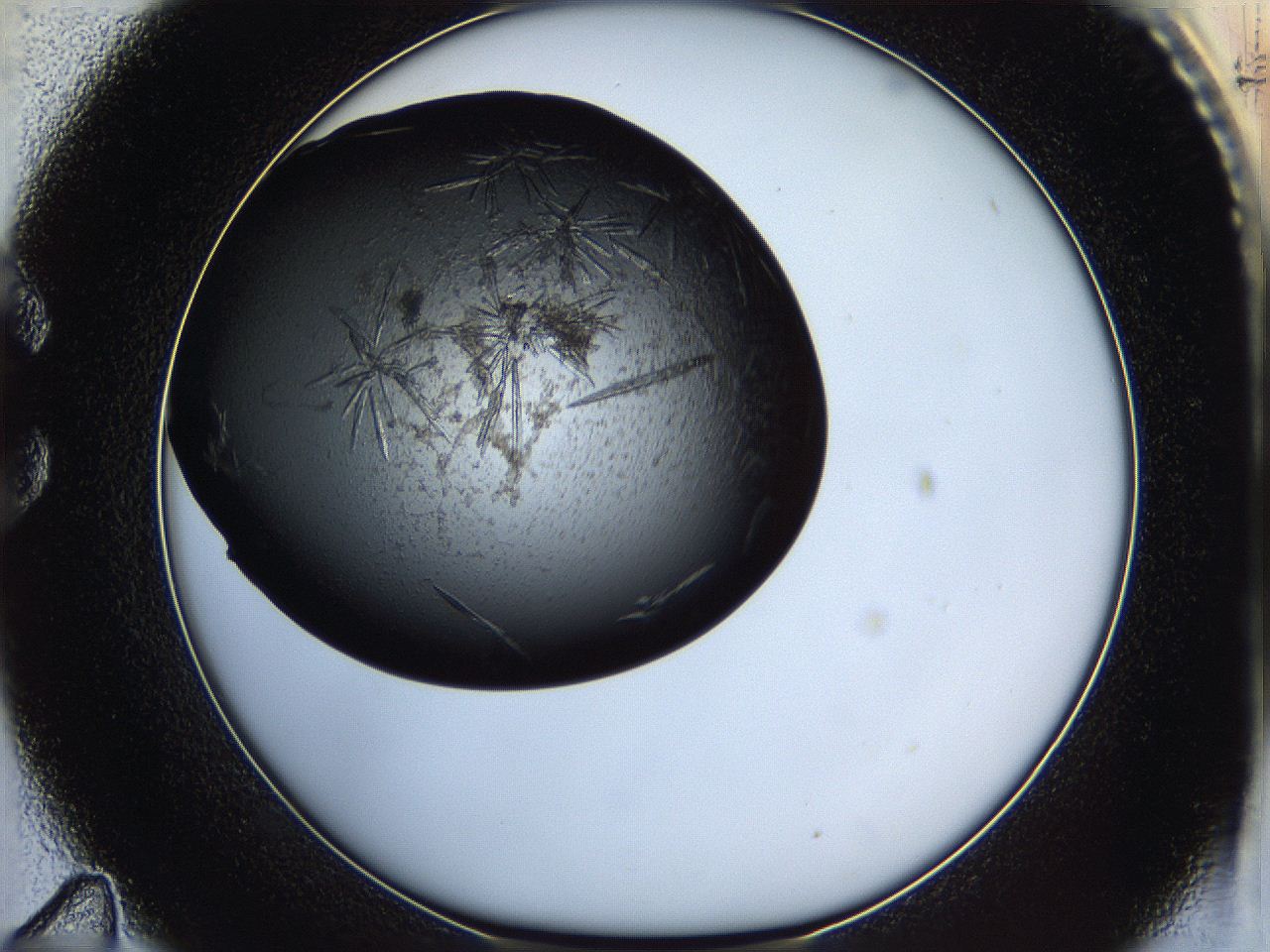 05iv_C11_ImagerDefaults_7.jpg