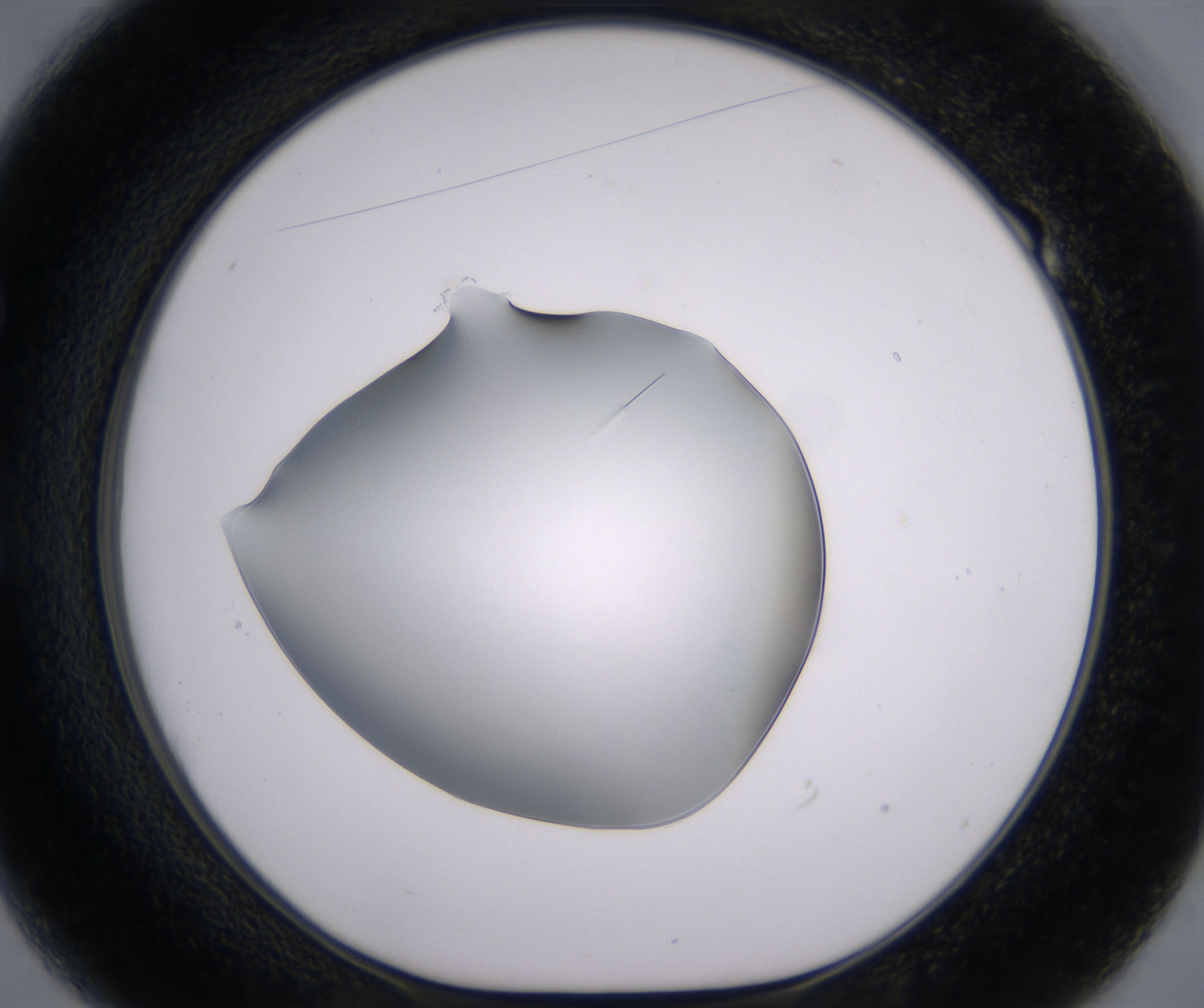 E1_HighResolution_Crystal_1.jpg