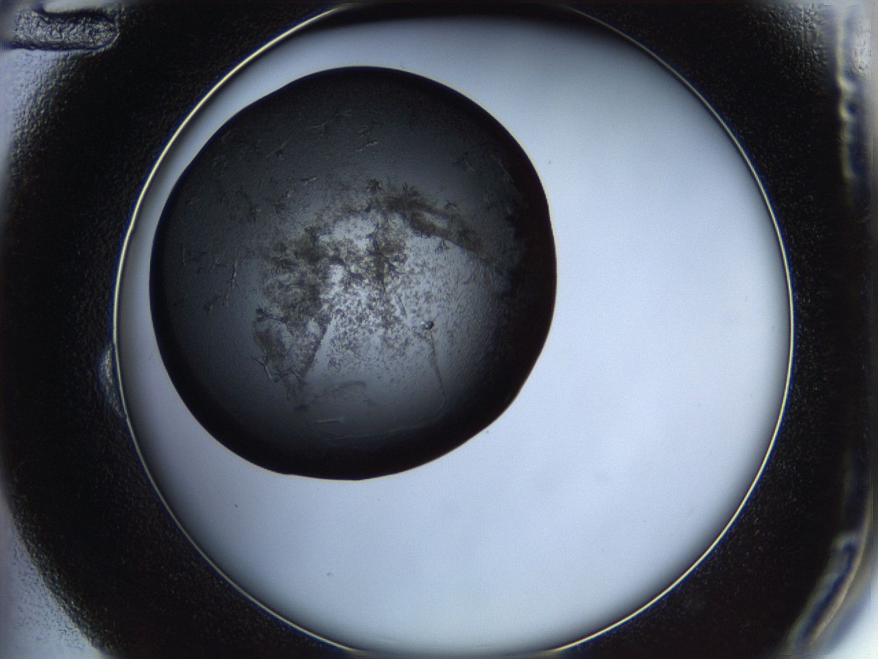 05iv_B12_ImagerDefaults_6.jpg