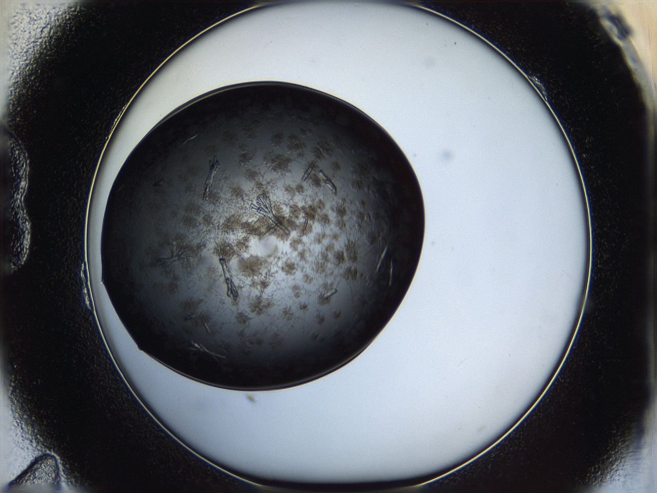 05iv_B11_ImagerDefaults_6.jpg
