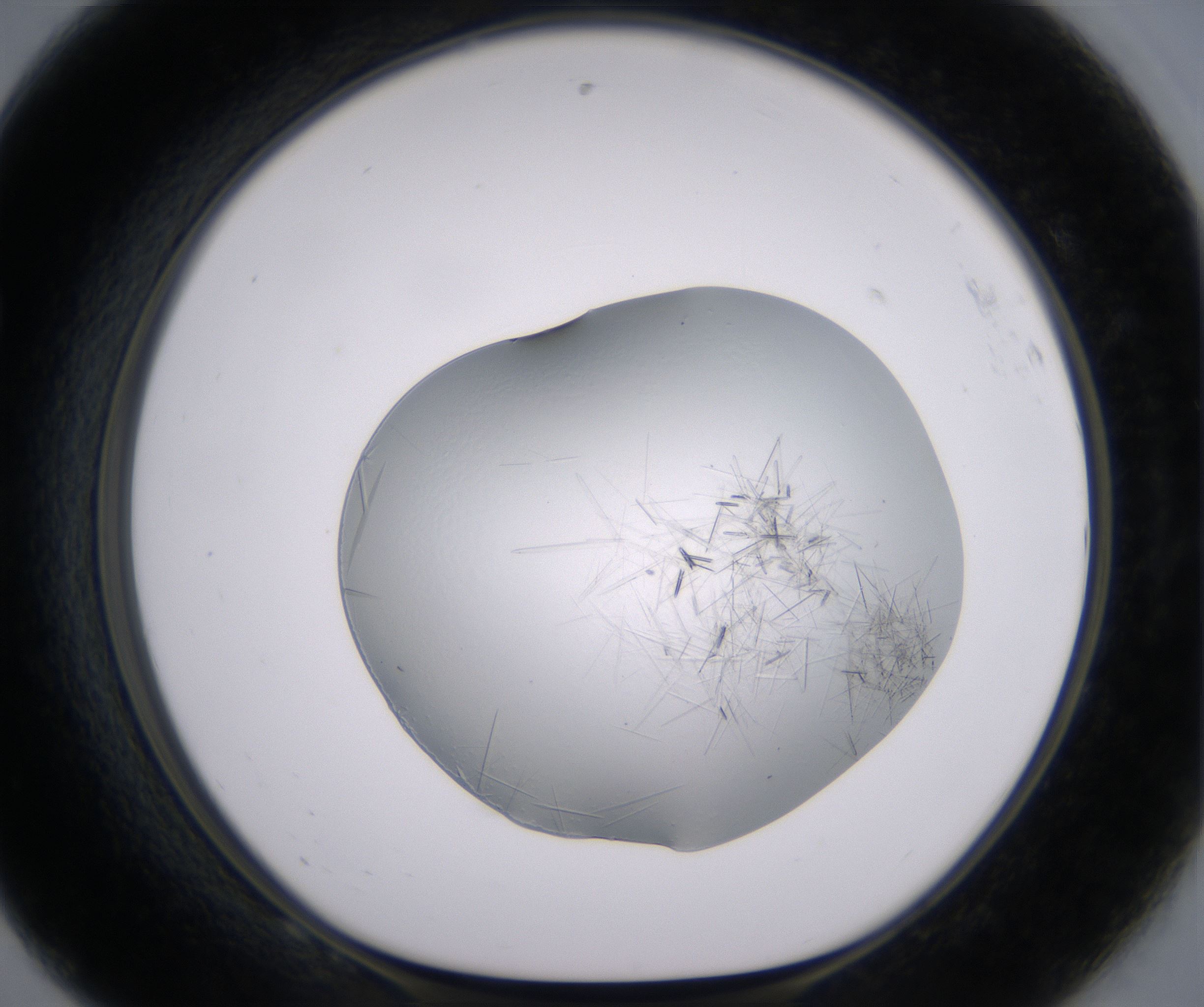 F8_HighResolution_Crystal_1.jpg