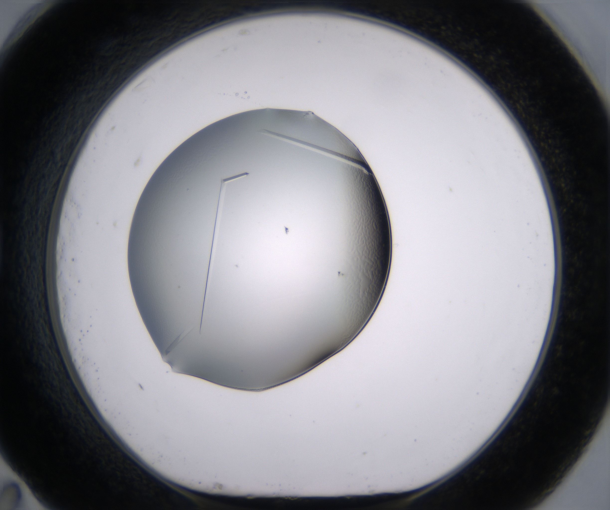 G11_HighResolution_Crystal_1.jpg