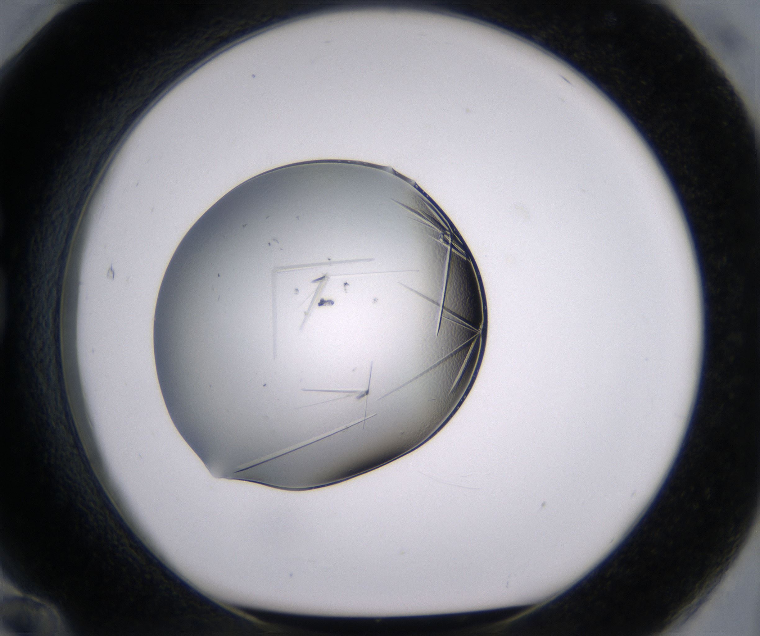 G12_HighResolution_Crystal_1.jpg