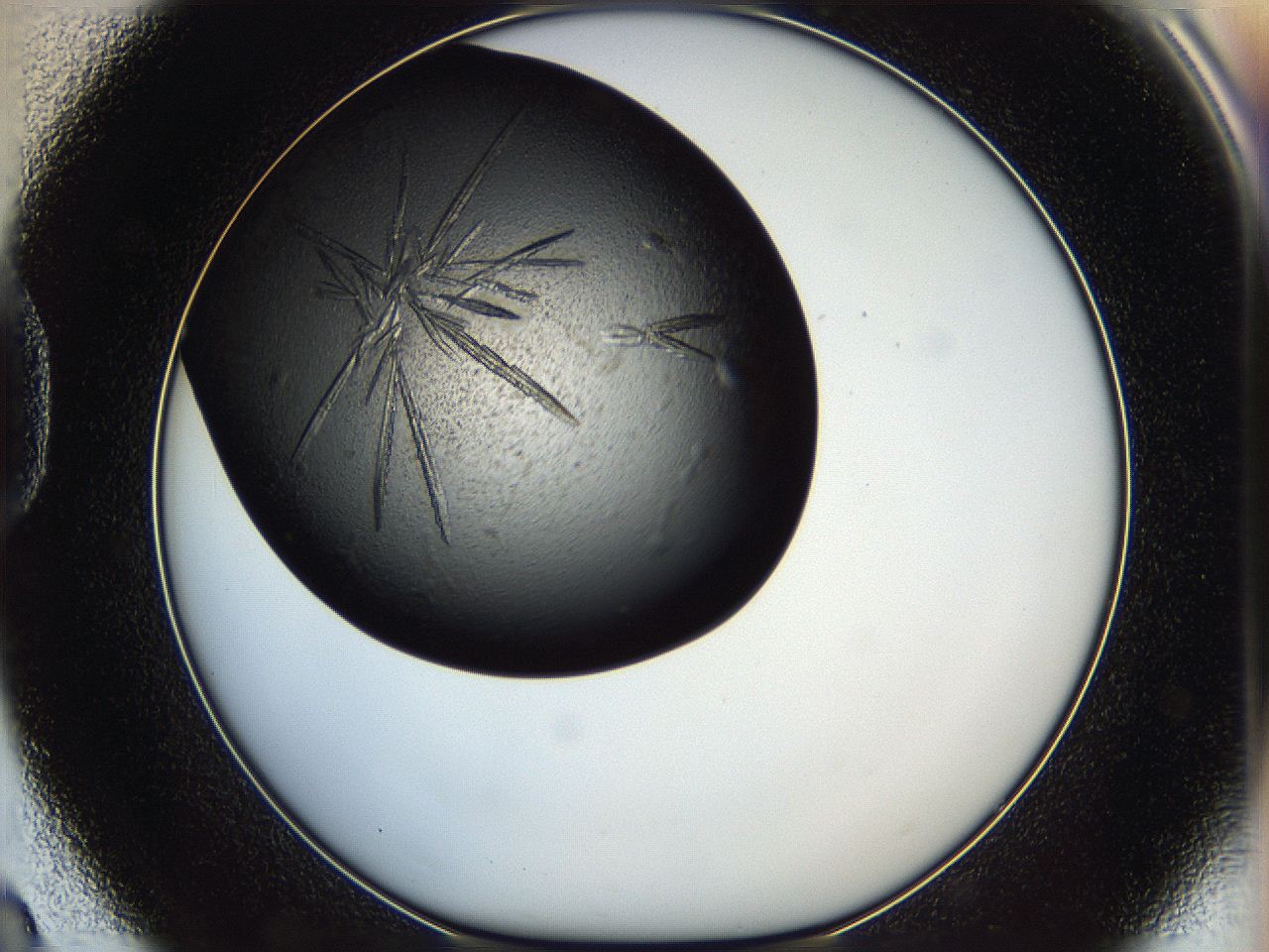 05iv_D8_ImagerDefaults_8.jpg