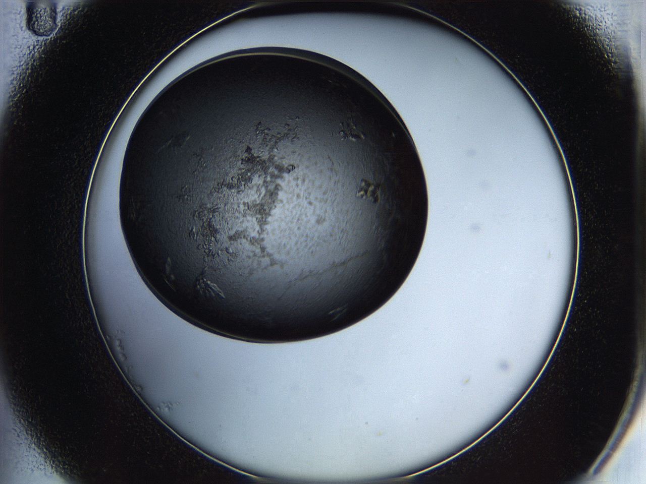05iv_B11_ImagerDefaults_7.jpg