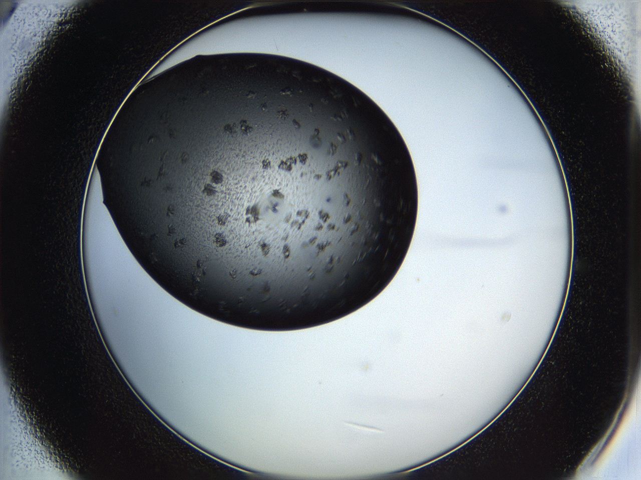 05iv_B9_ImagerDefaults_6.jpg
