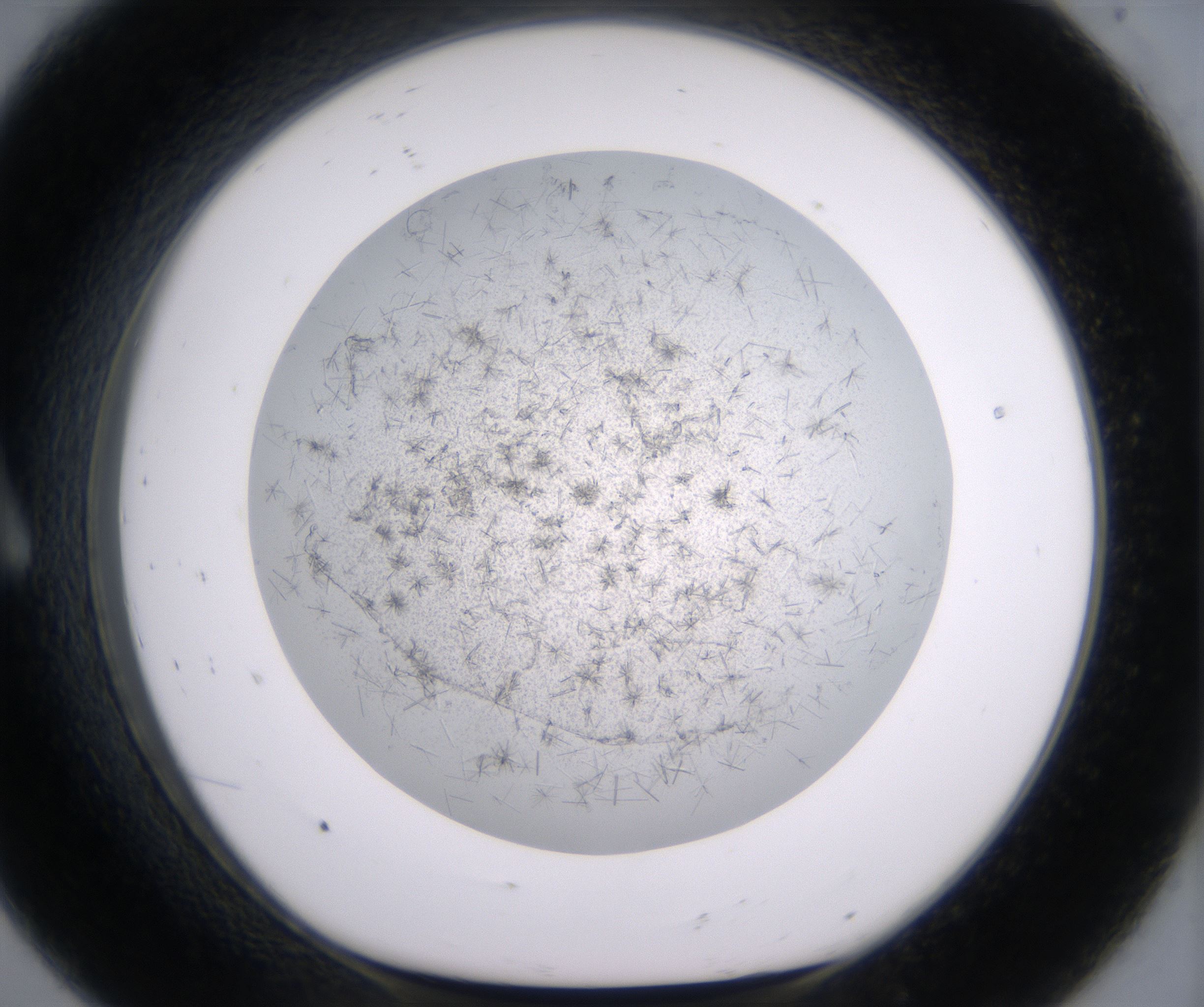 A8_HighResolution_Crystal_1.jpg