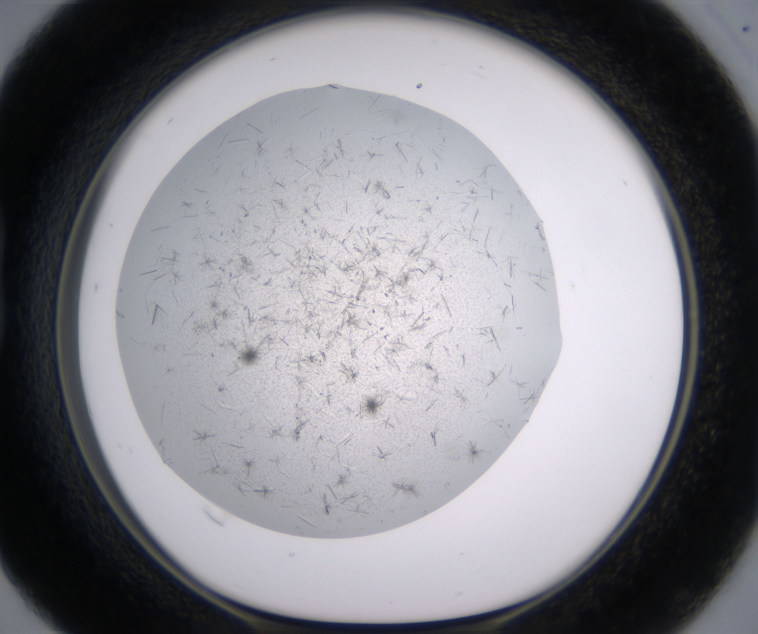 B4_HighResolution_Crystal_1.jpg