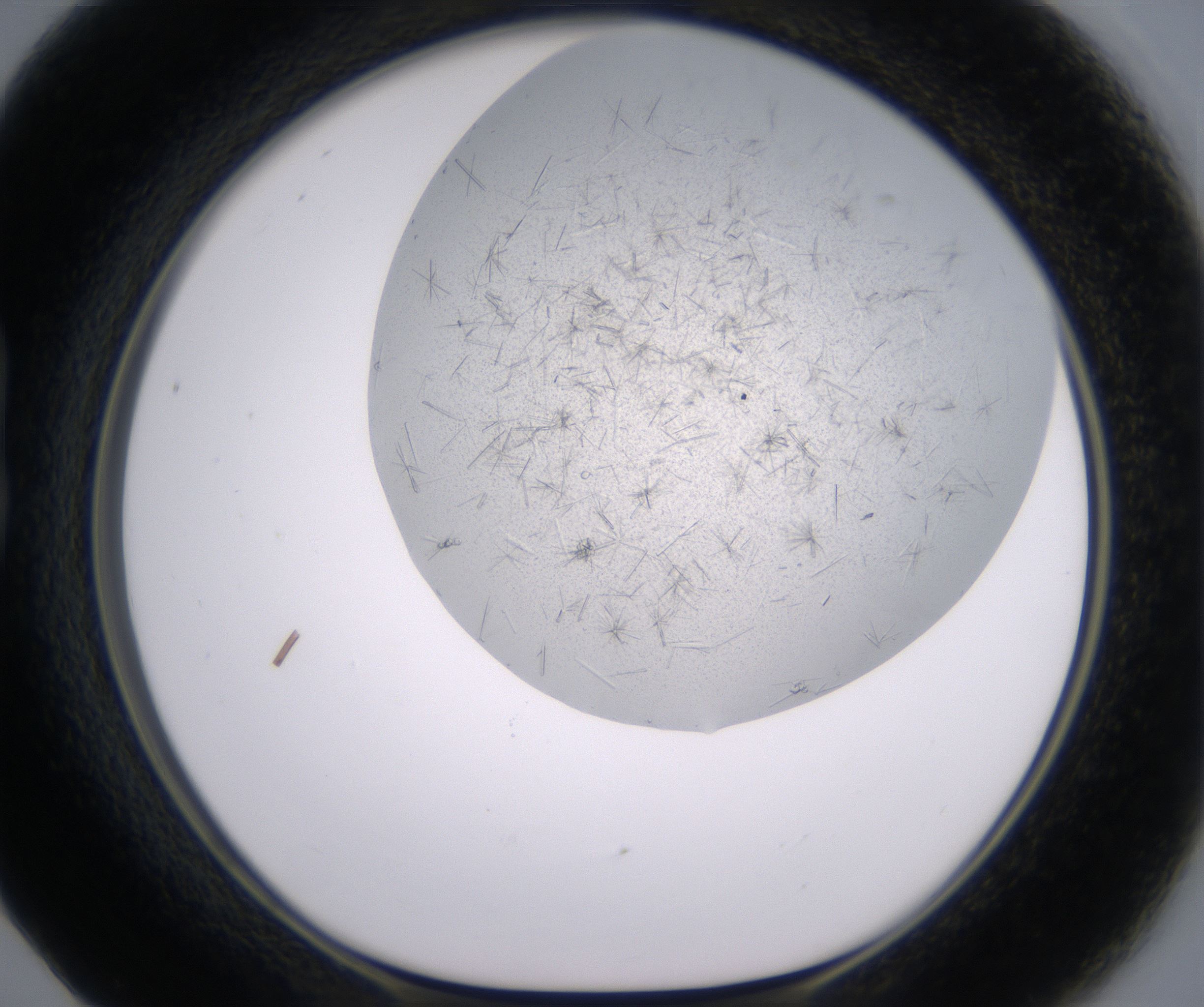 B5_HighResolution_Crystal_1.jpg