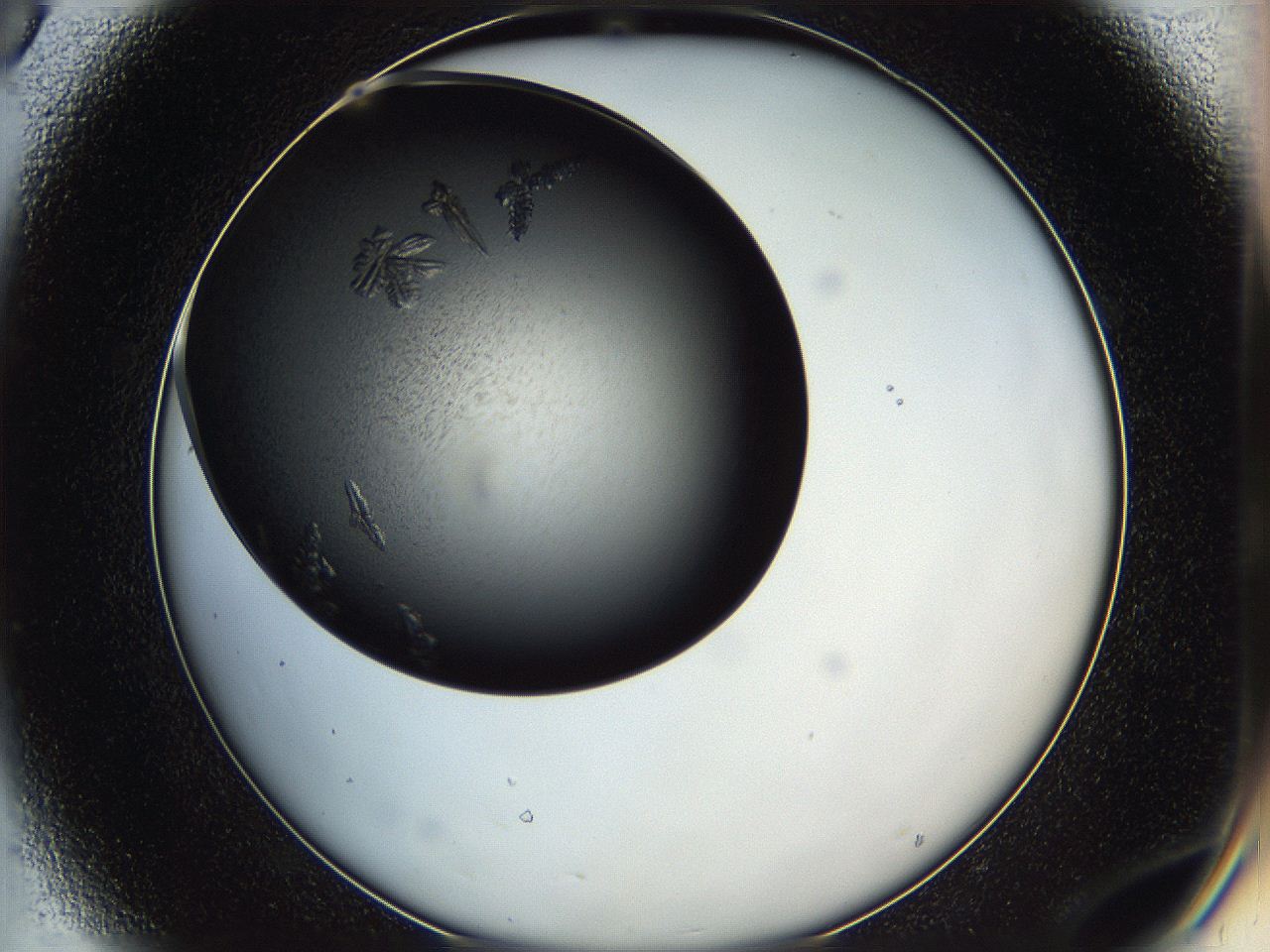 05iv_D8_ImagerDefaults_7.jpg