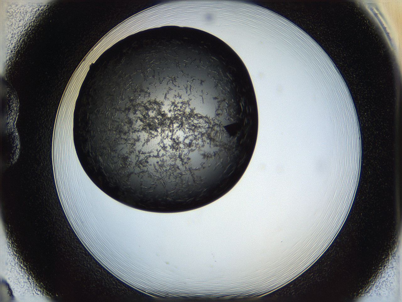 05iv_B8_ImagerDefaults_5.jpg