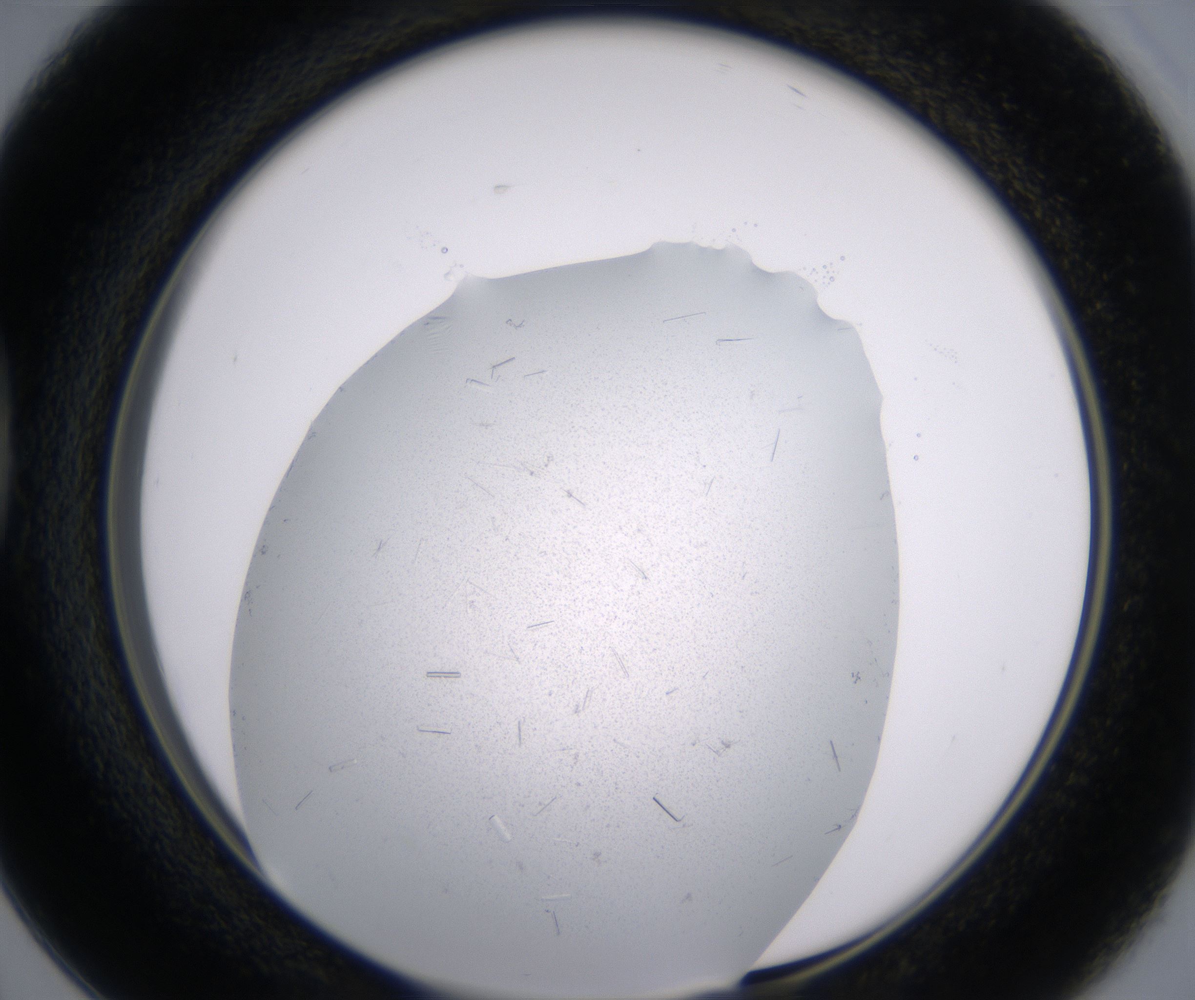 D2_HighResolution_Crystal_1.jpg