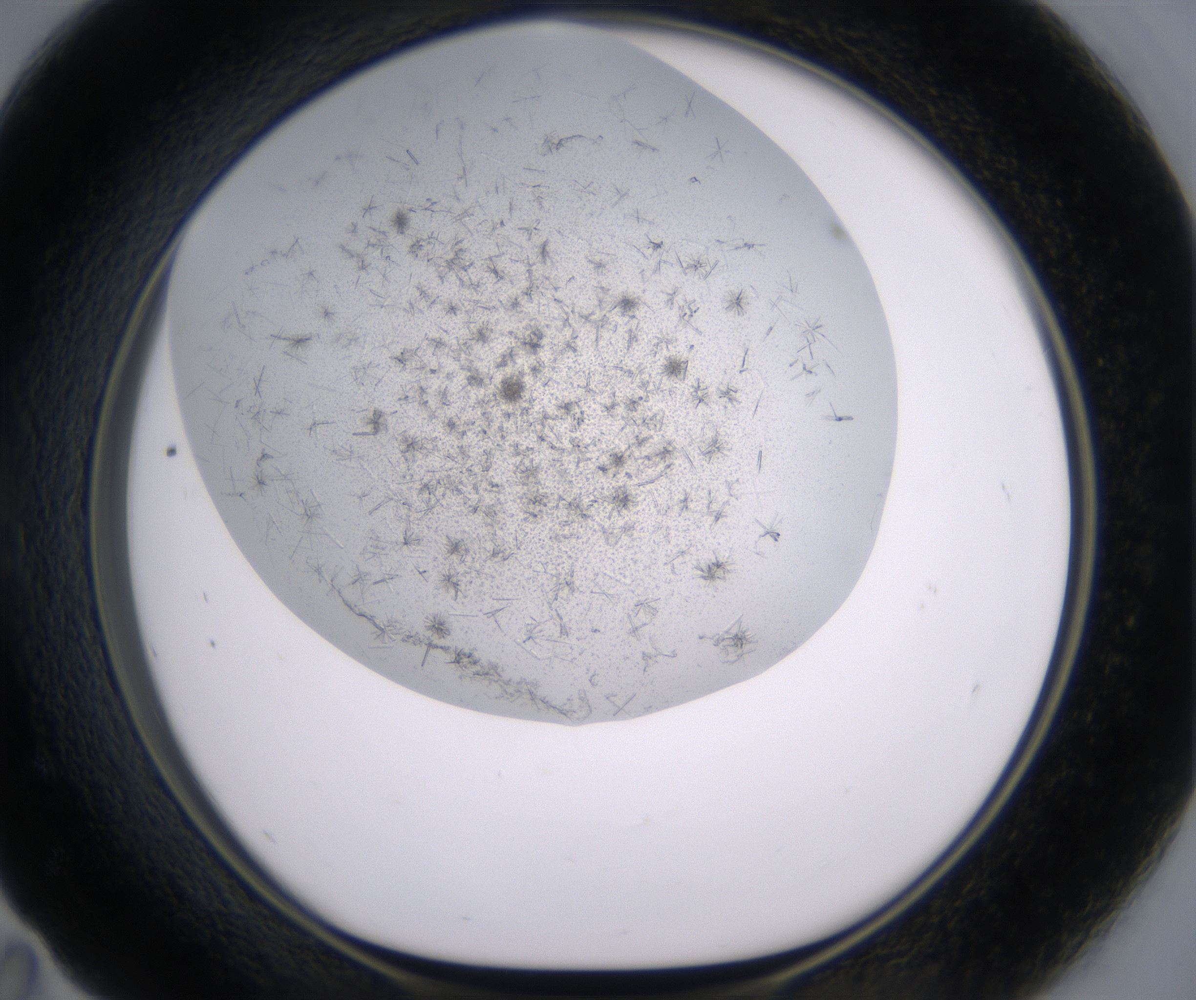 E11_HighResolution_Crystal_1.jpg