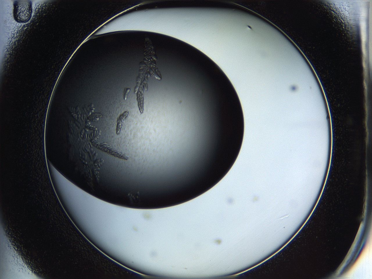 05iv_D11_ImagerDefaults_7.jpg