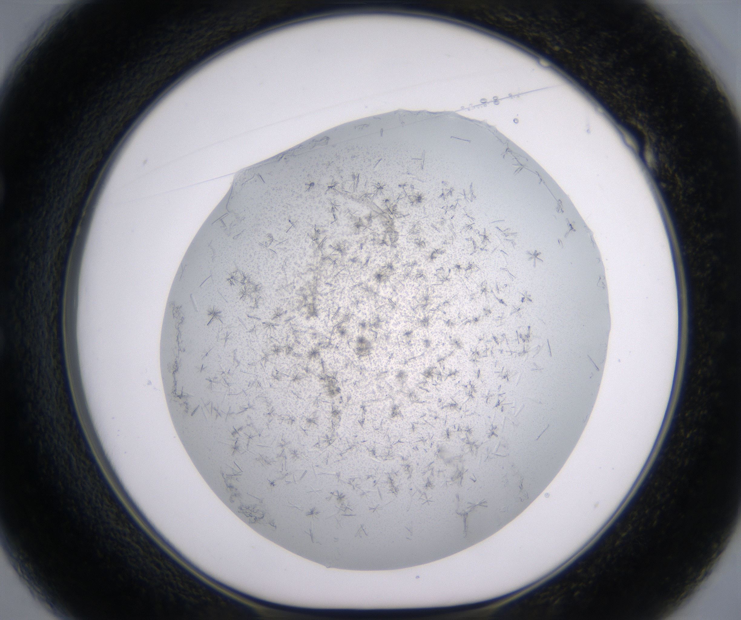 E1_HighResolution_Crystal_1.jpg