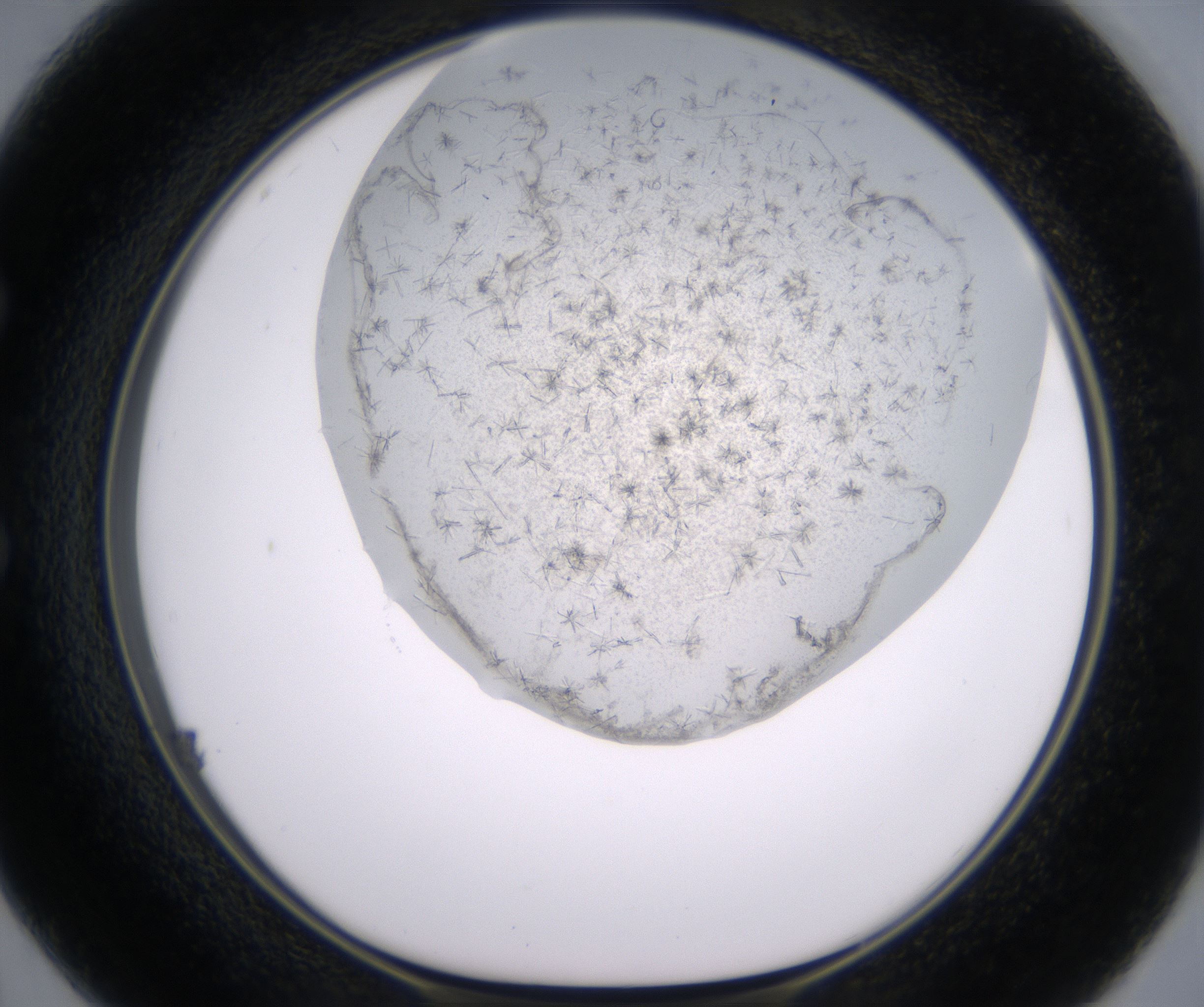 E2_HighResolution_Crystal_1.jpg