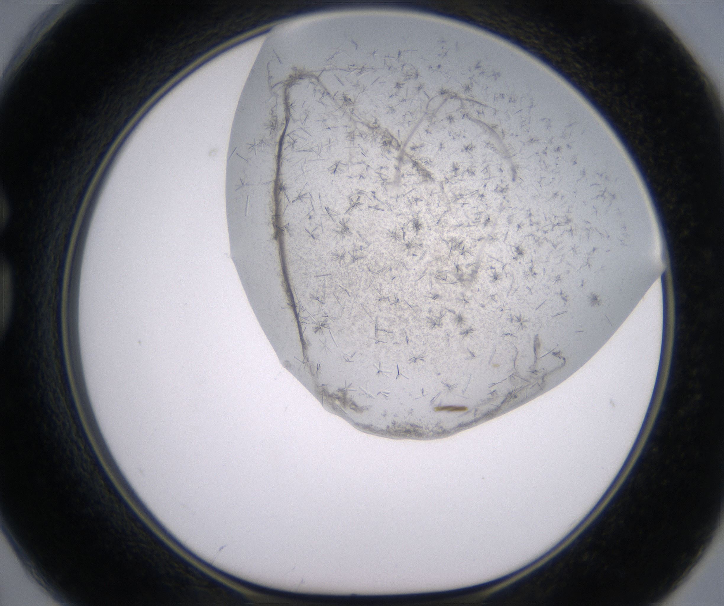 G2_HighResolution_Crystal_1.jpg