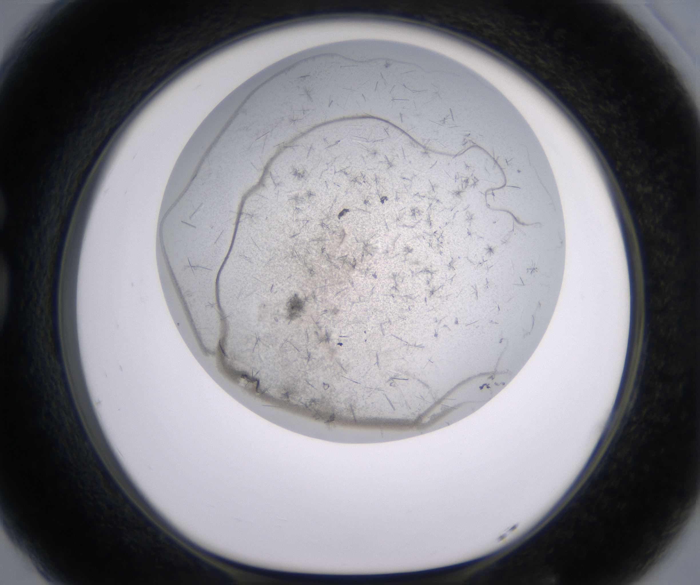 G5_HighResolution_Crystal_1.jpg