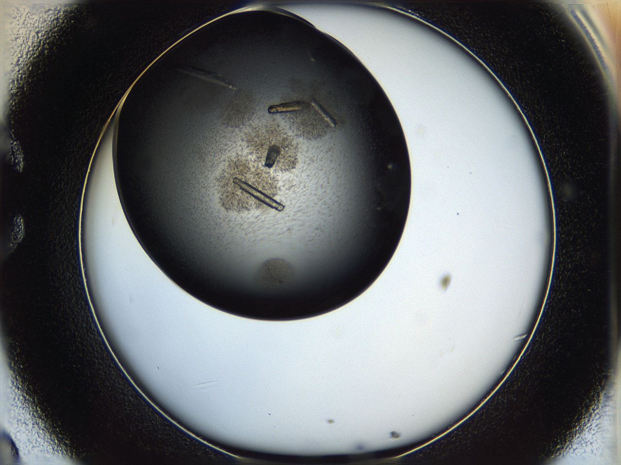 05iv_C8_ImagerDefaults_9.jpg