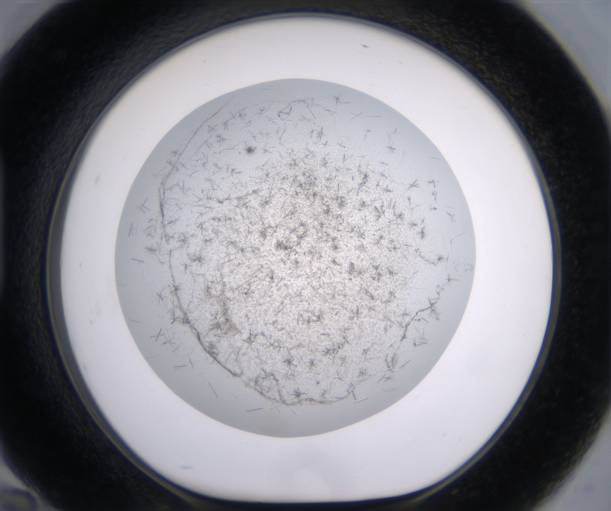 H10_HighResolution_Crystal_1.jpg