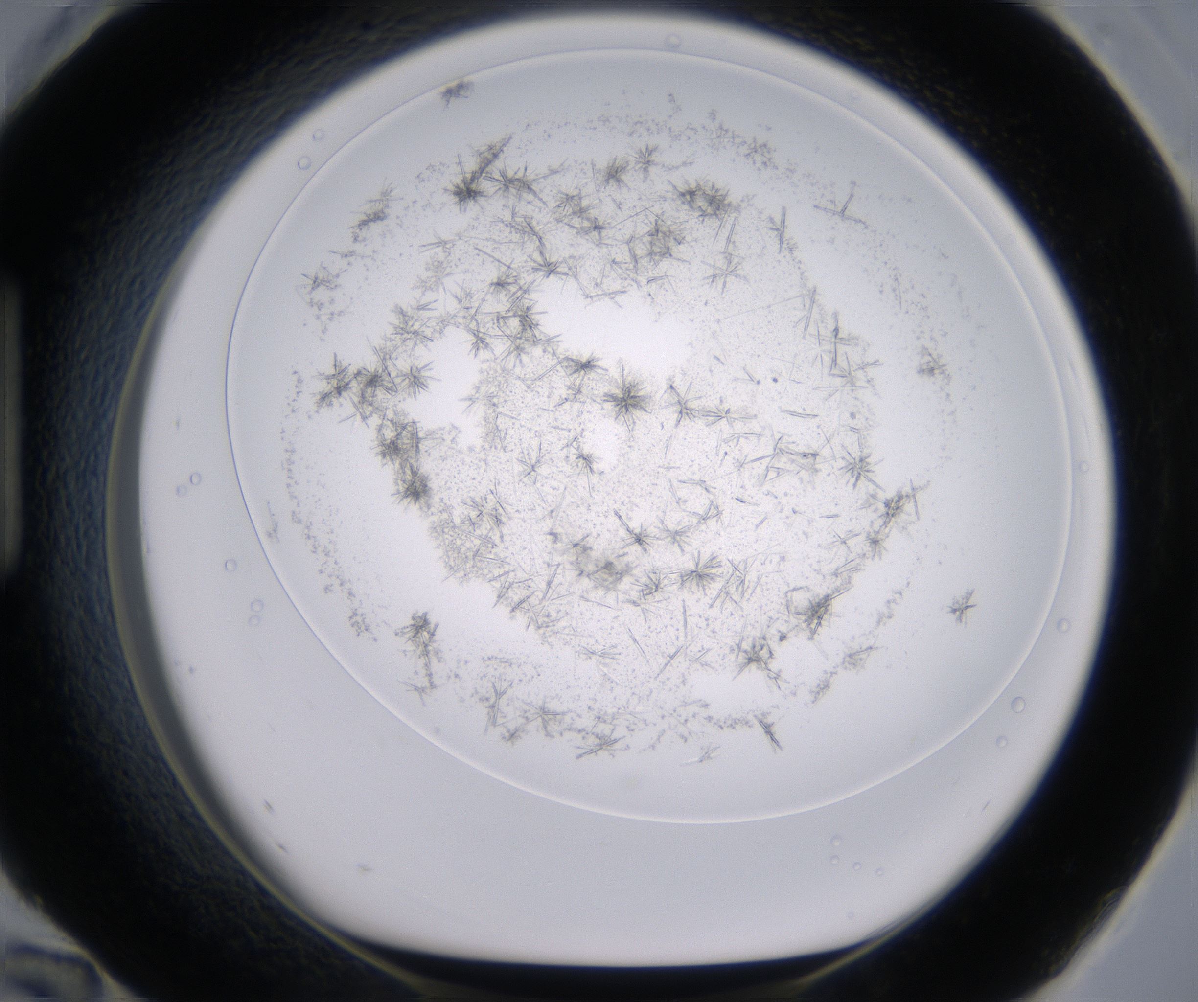 H12_HighResolution_Crystal_1.jpg