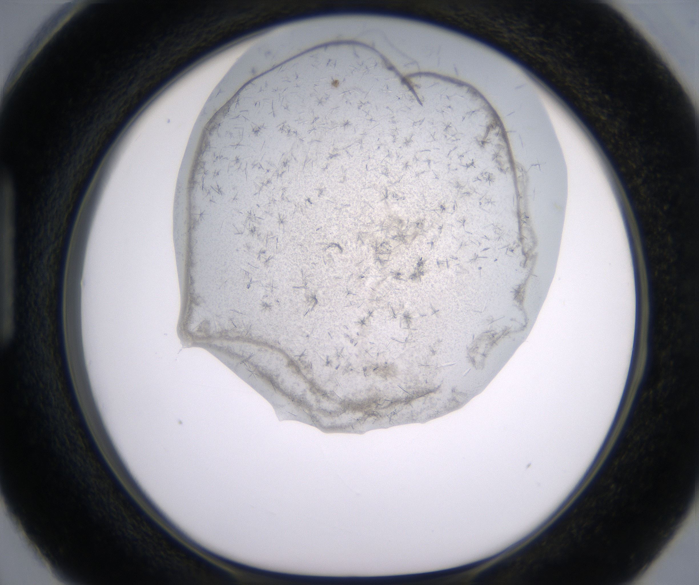 H3_HighResolution_Crystal_1.jpg