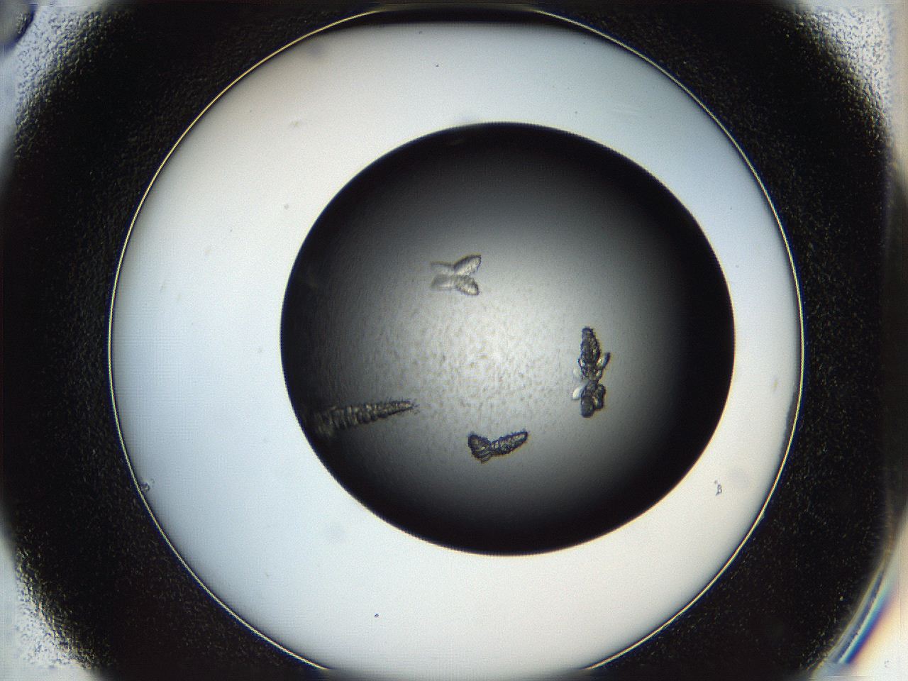 05iv_C6_ImagerDefaults_8.jpg