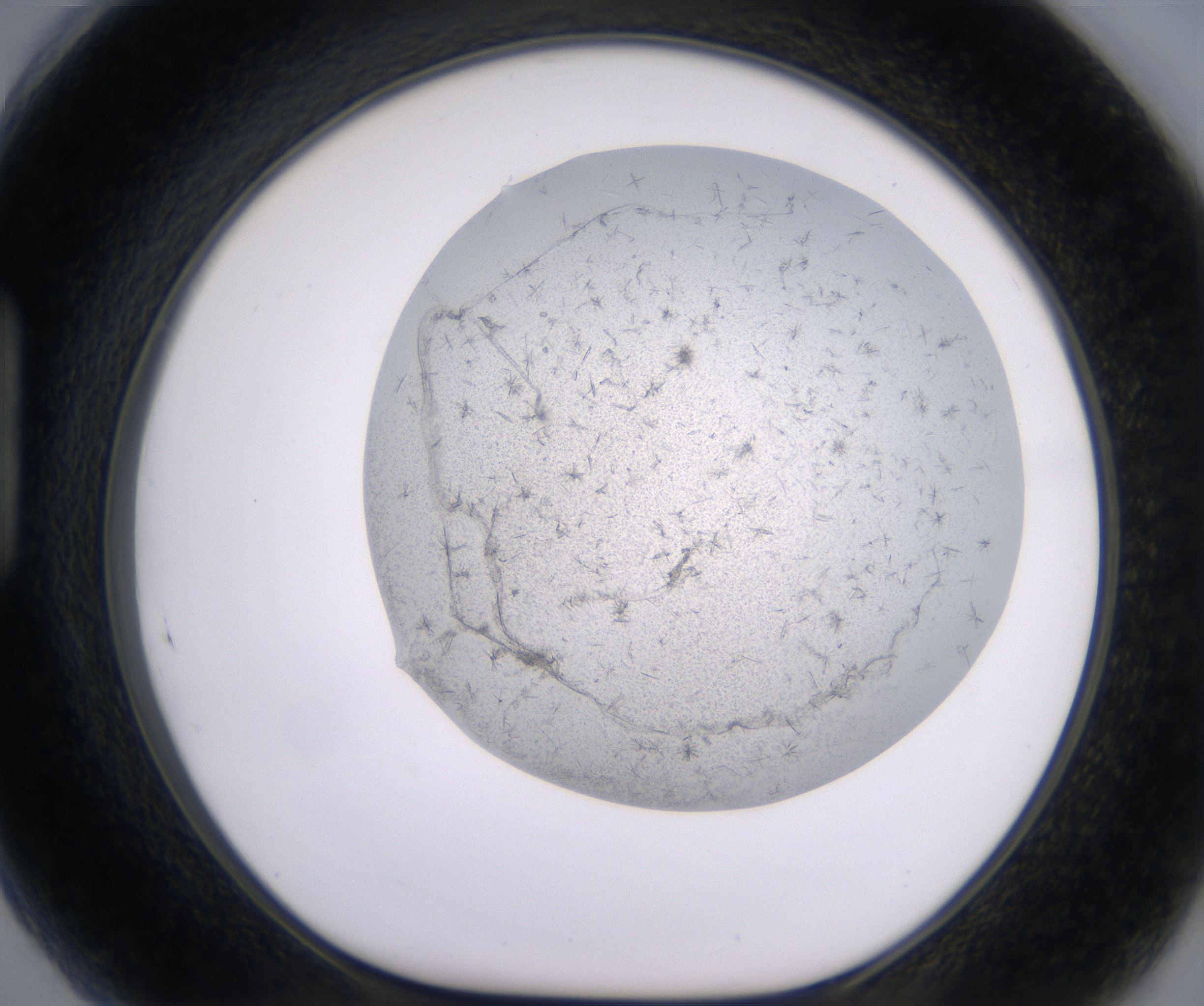 H5_HighResolution_Crystal_1.jpg