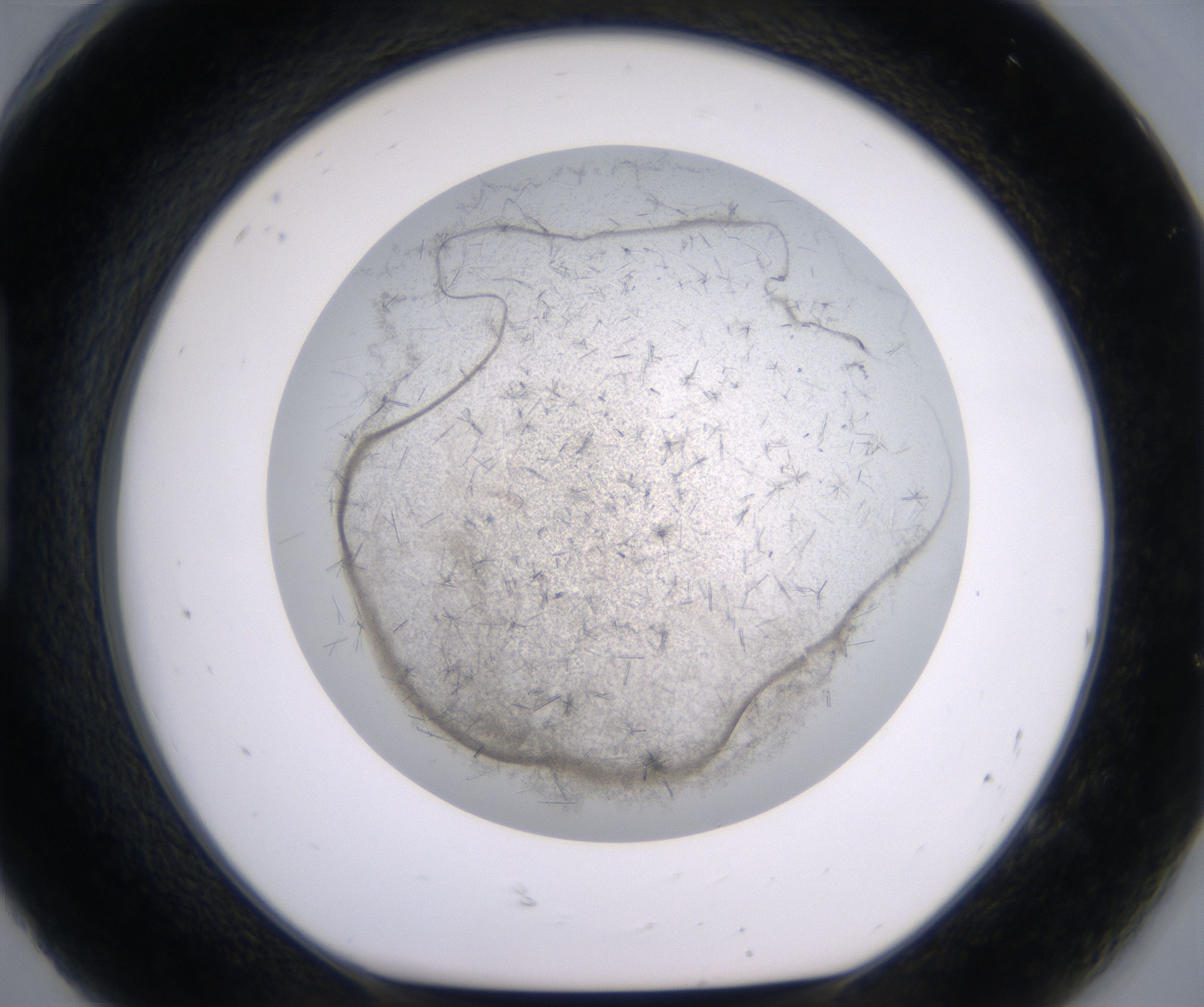 H8_HighResolution_Crystal_1.jpg