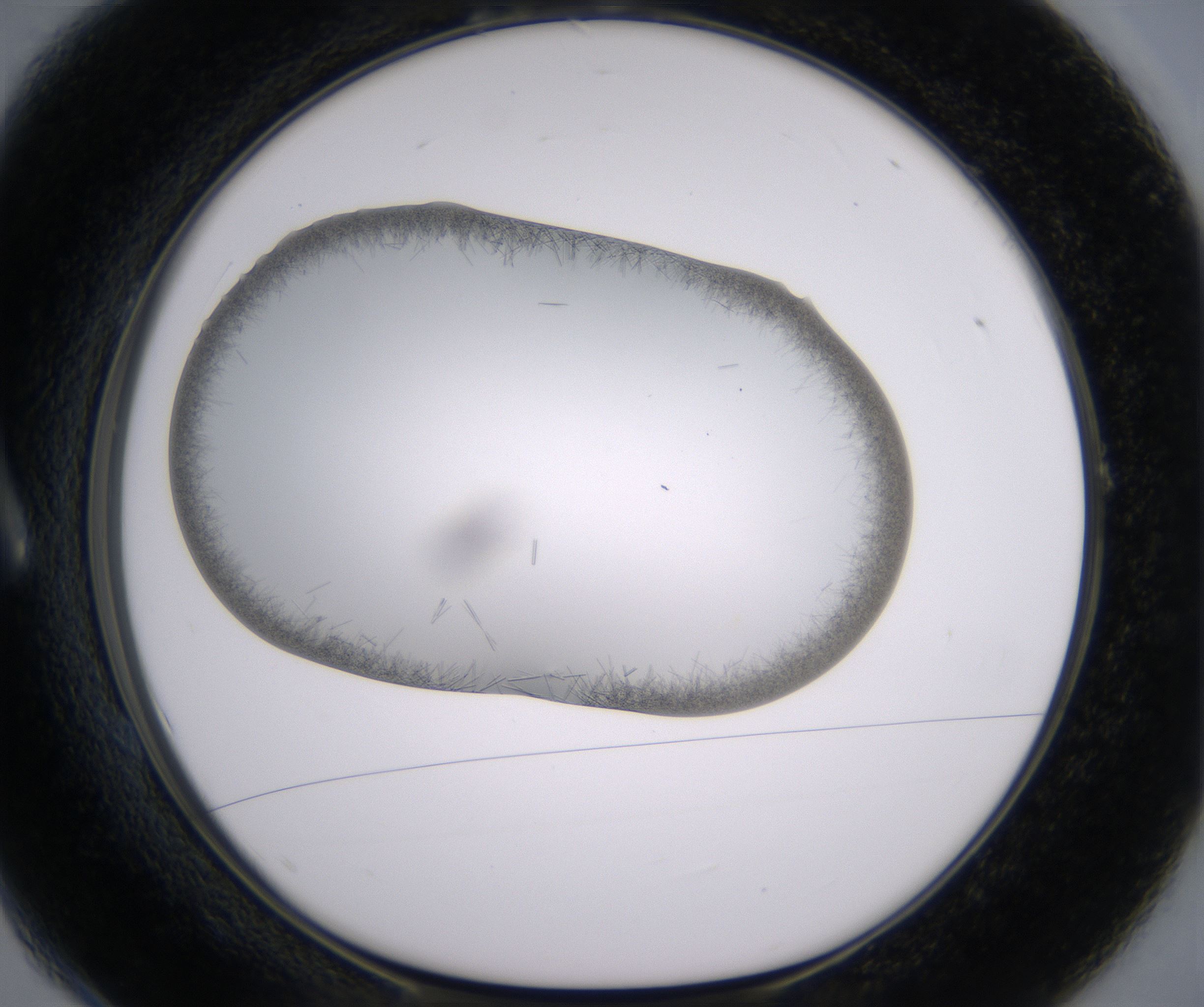 A1_HighResolution_Crystal_1.jpg