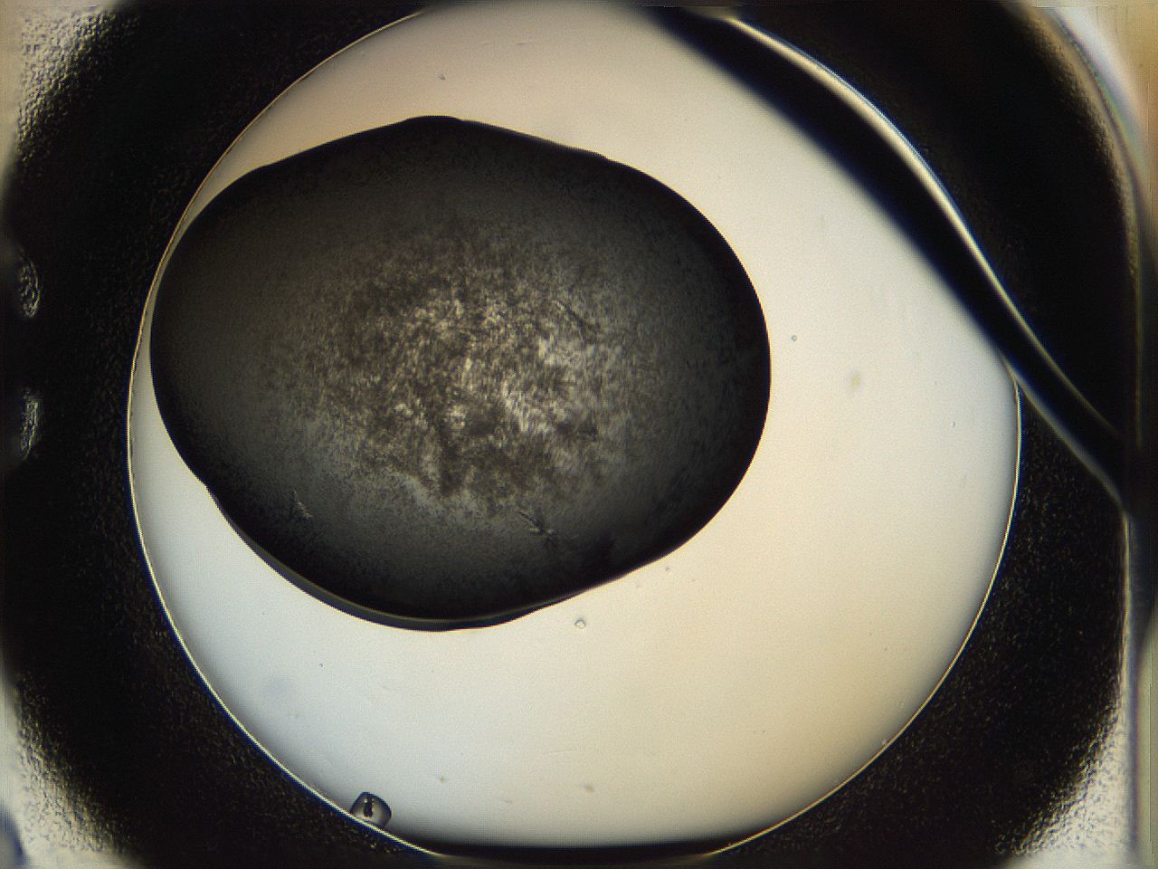 05iv_C2_ImagerDefaults_6.jpg
