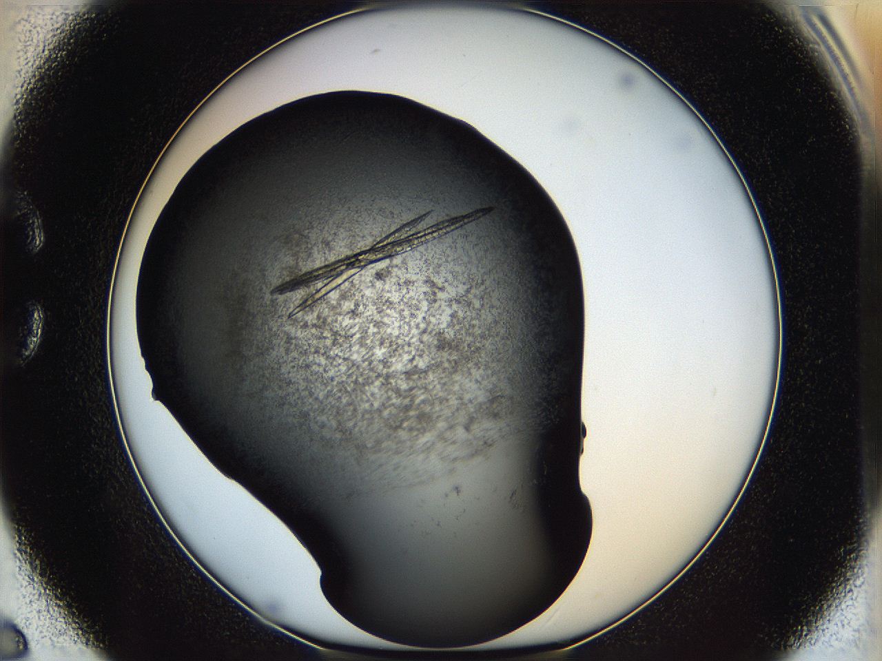 05iv_C6_ImagerDefaults_9.jpg