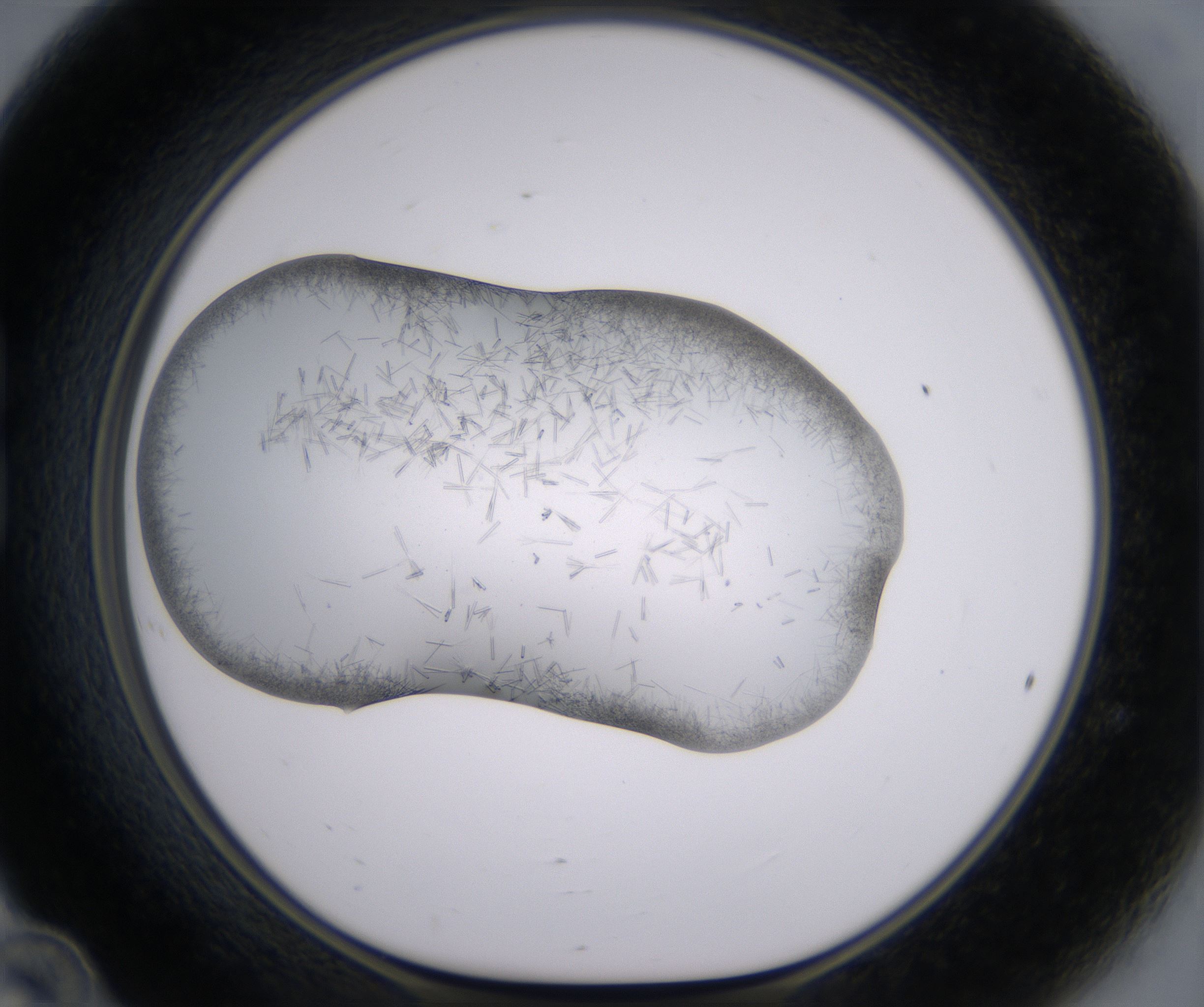 B12_HighResolution_Crystal_1.jpg