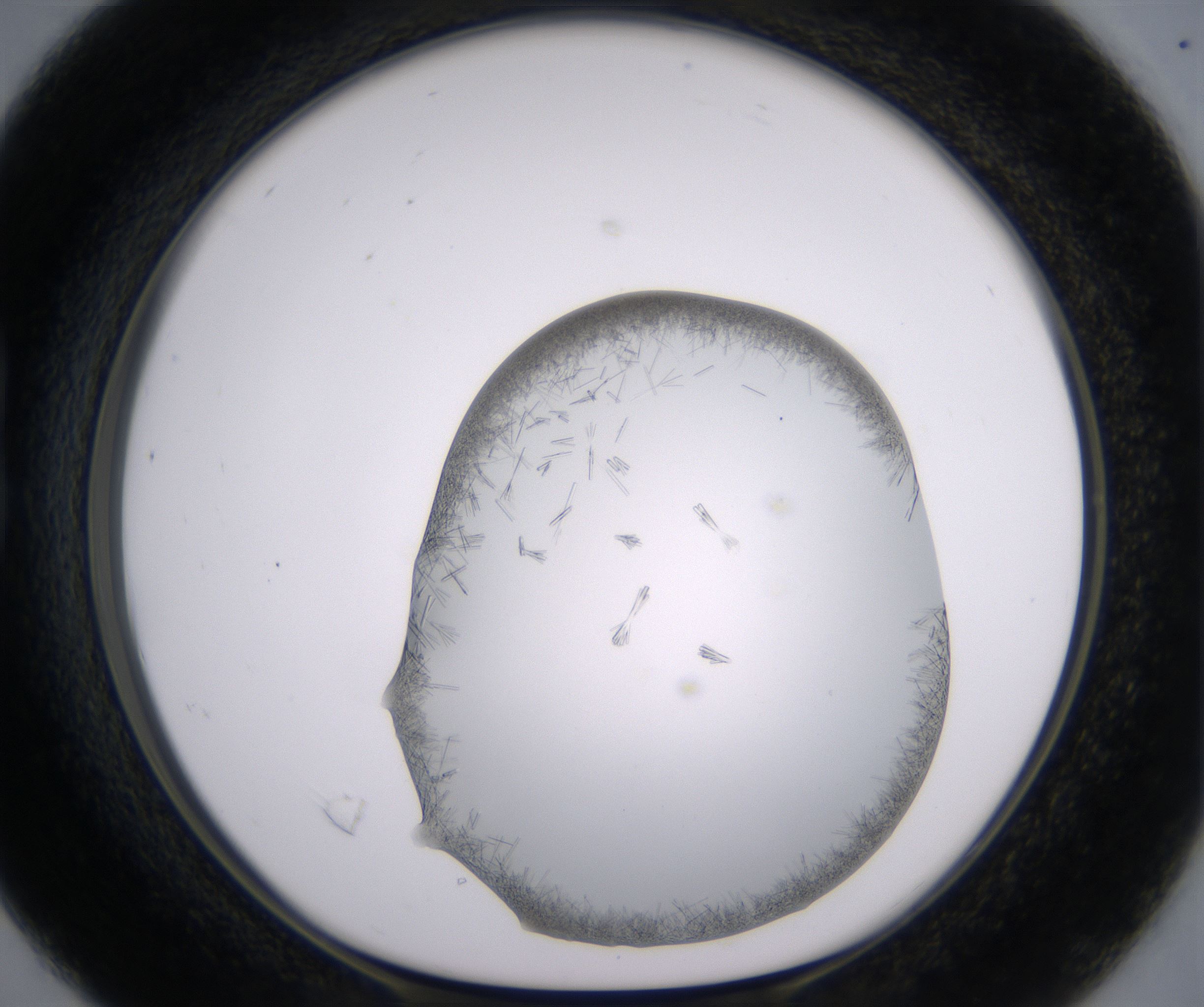 B4_HighResolution_Crystal_1.jpg