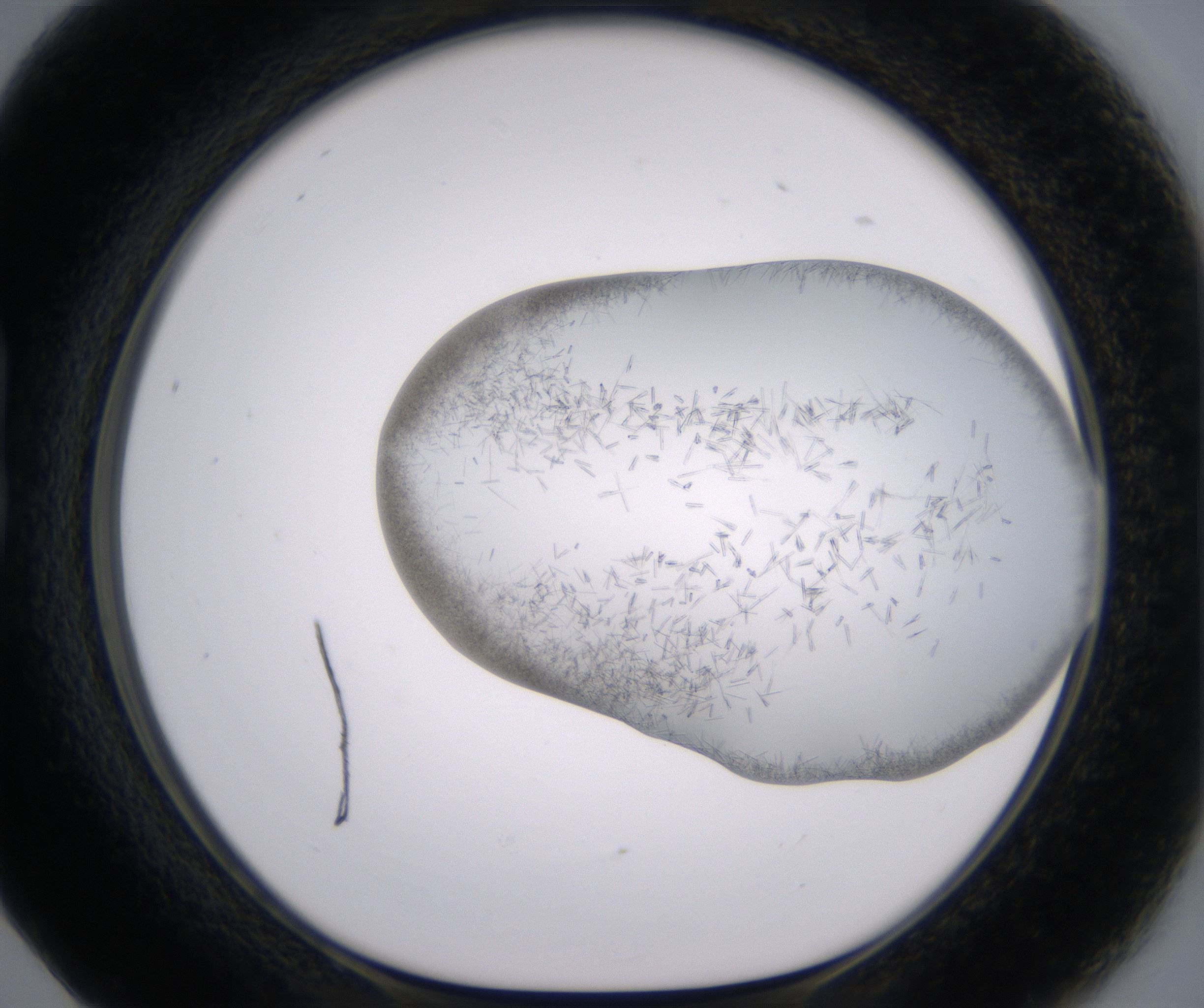 B5_HighResolution_Crystal_1.jpg