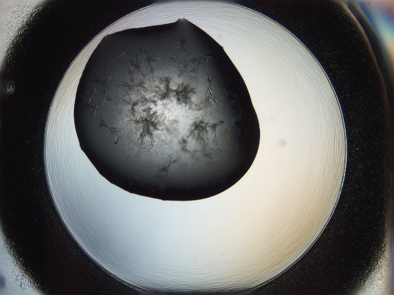 05iv_F5_ImagerDefaults_6.jpg