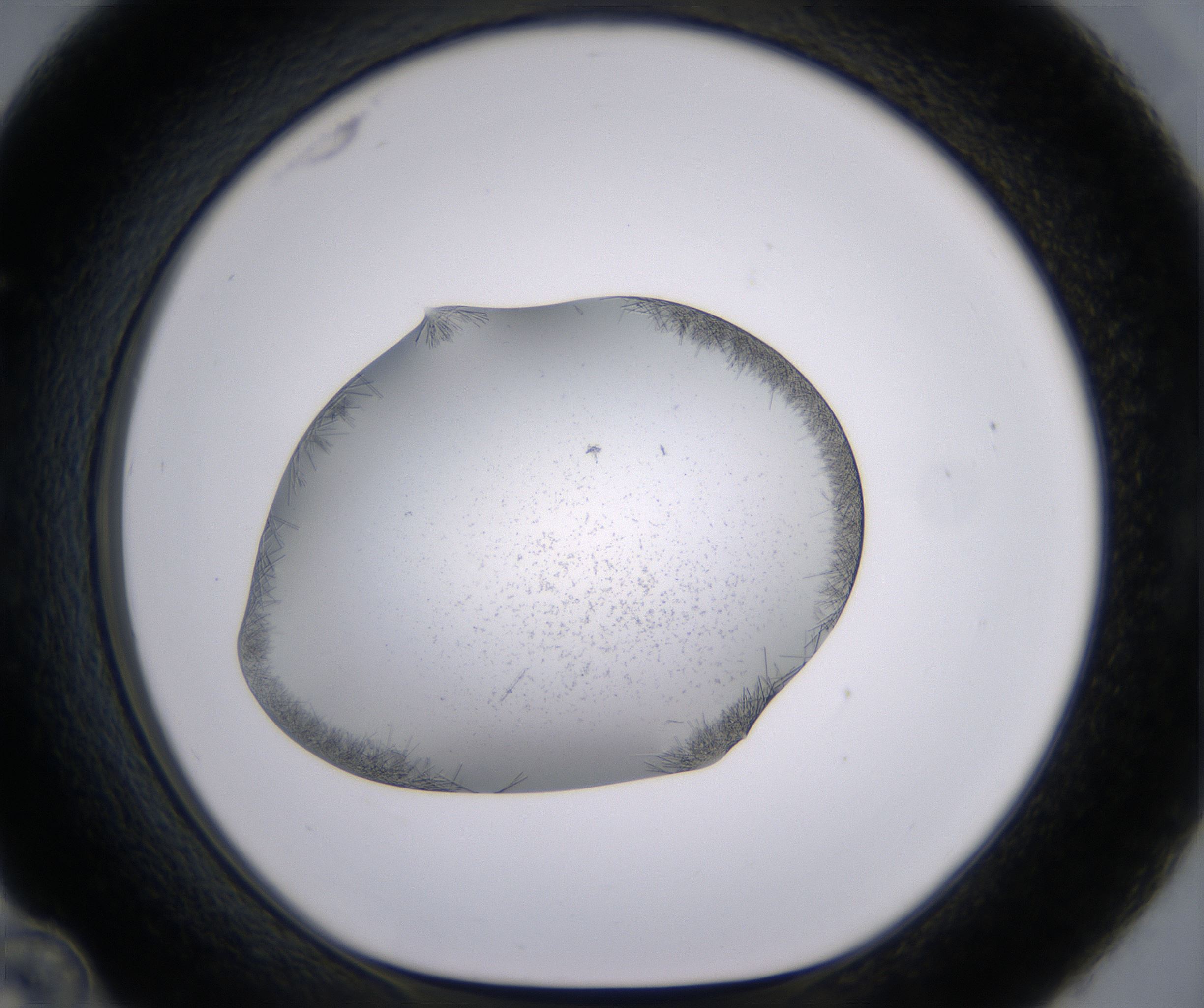 C12_HighResolution_Crystal_1.jpg