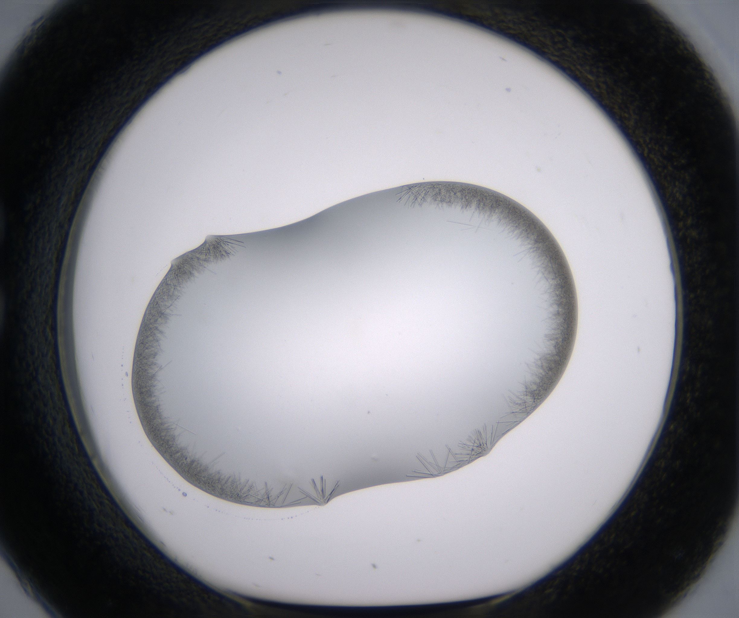 C2_HighResolution_Crystal_1.jpg
