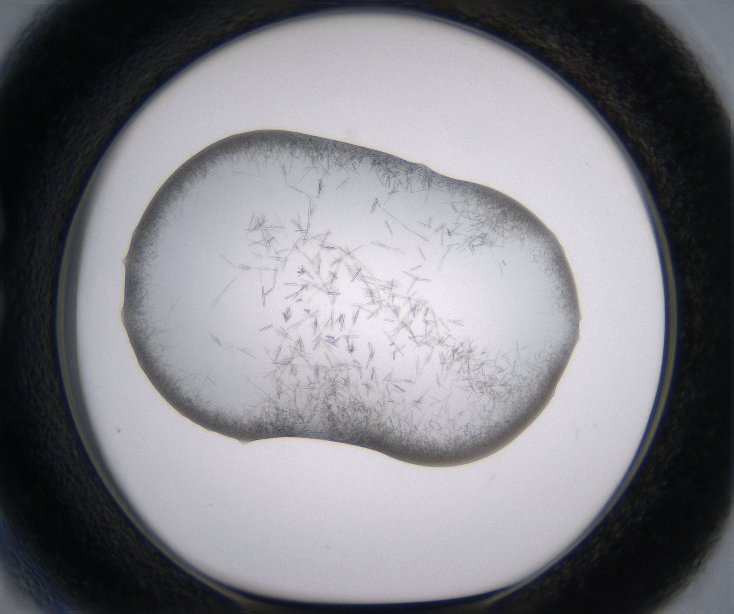 C3_HighResolution_Crystal_1.jpg