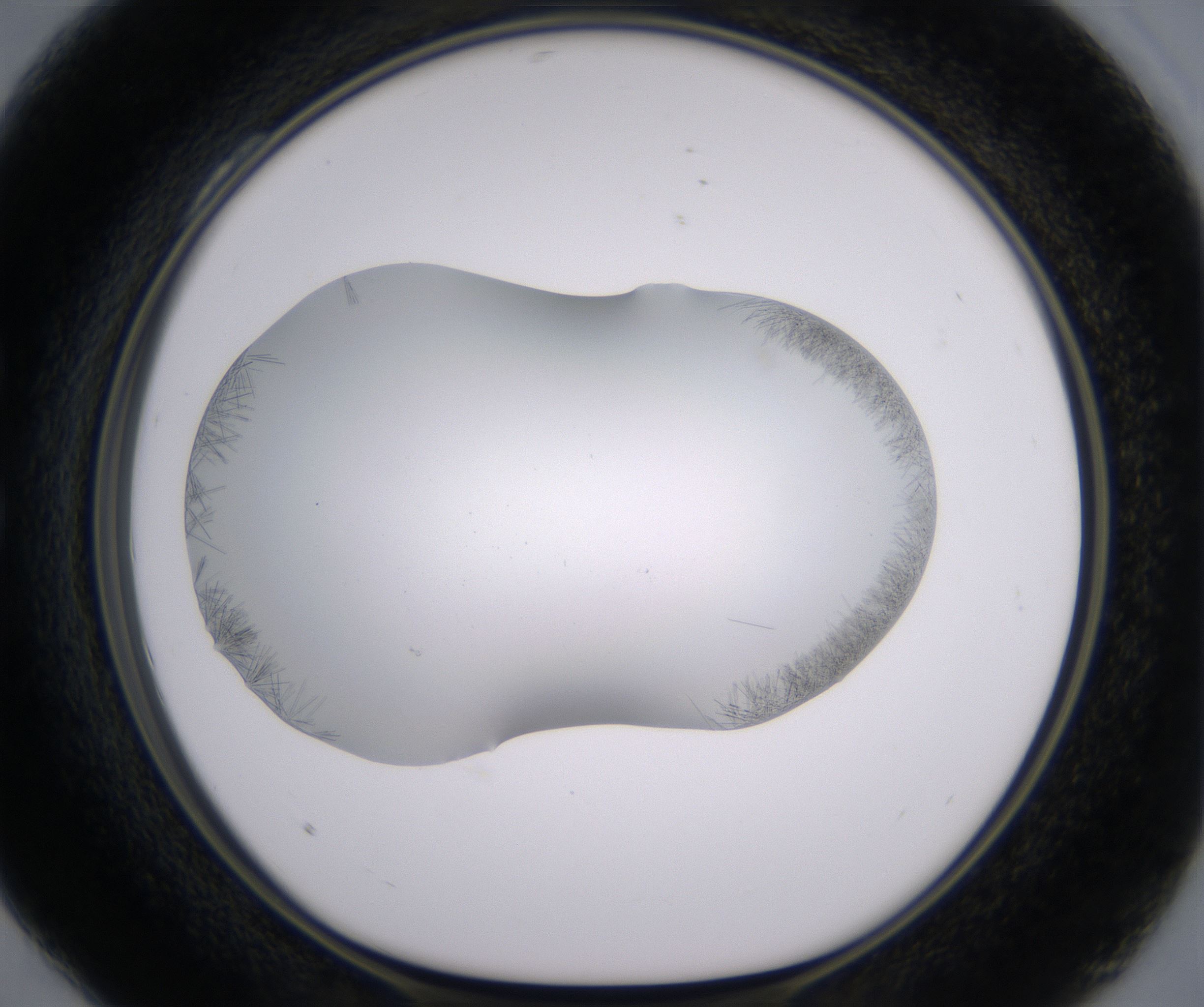 C4_HighResolution_Crystal_1.jpg
