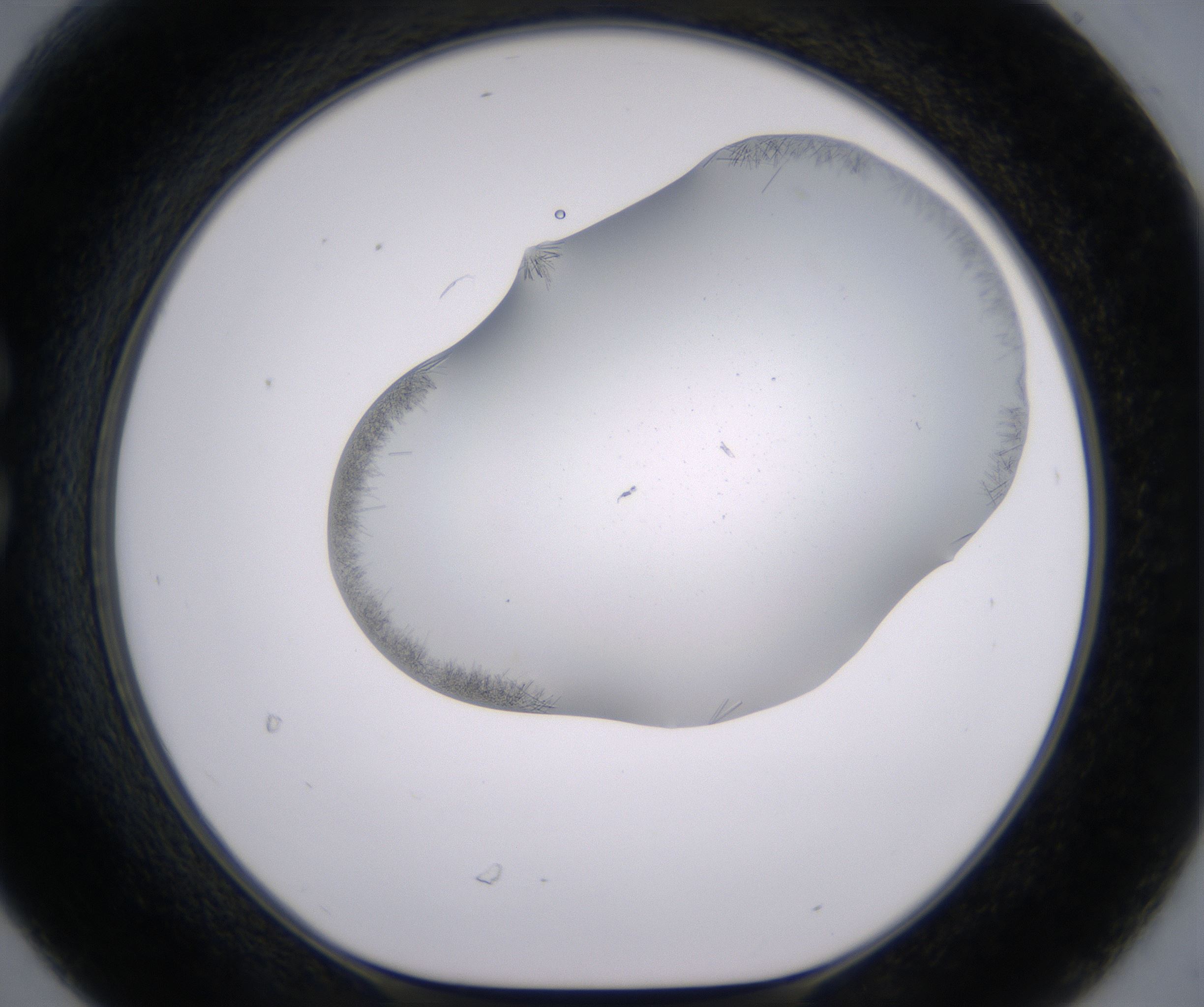 C6_HighResolution_Crystal_1.jpg