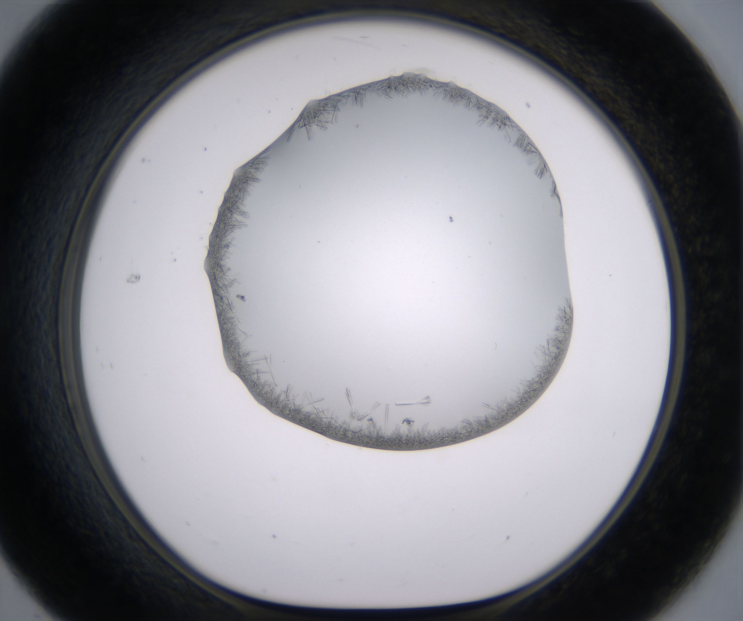 C7_HighResolution_Crystal_1.jpg