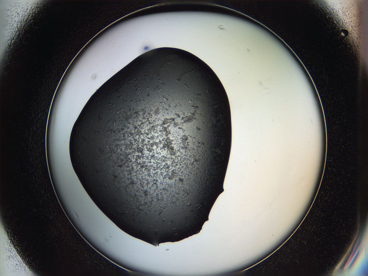 05iv_F7_ImagerDefaults_5.jpg