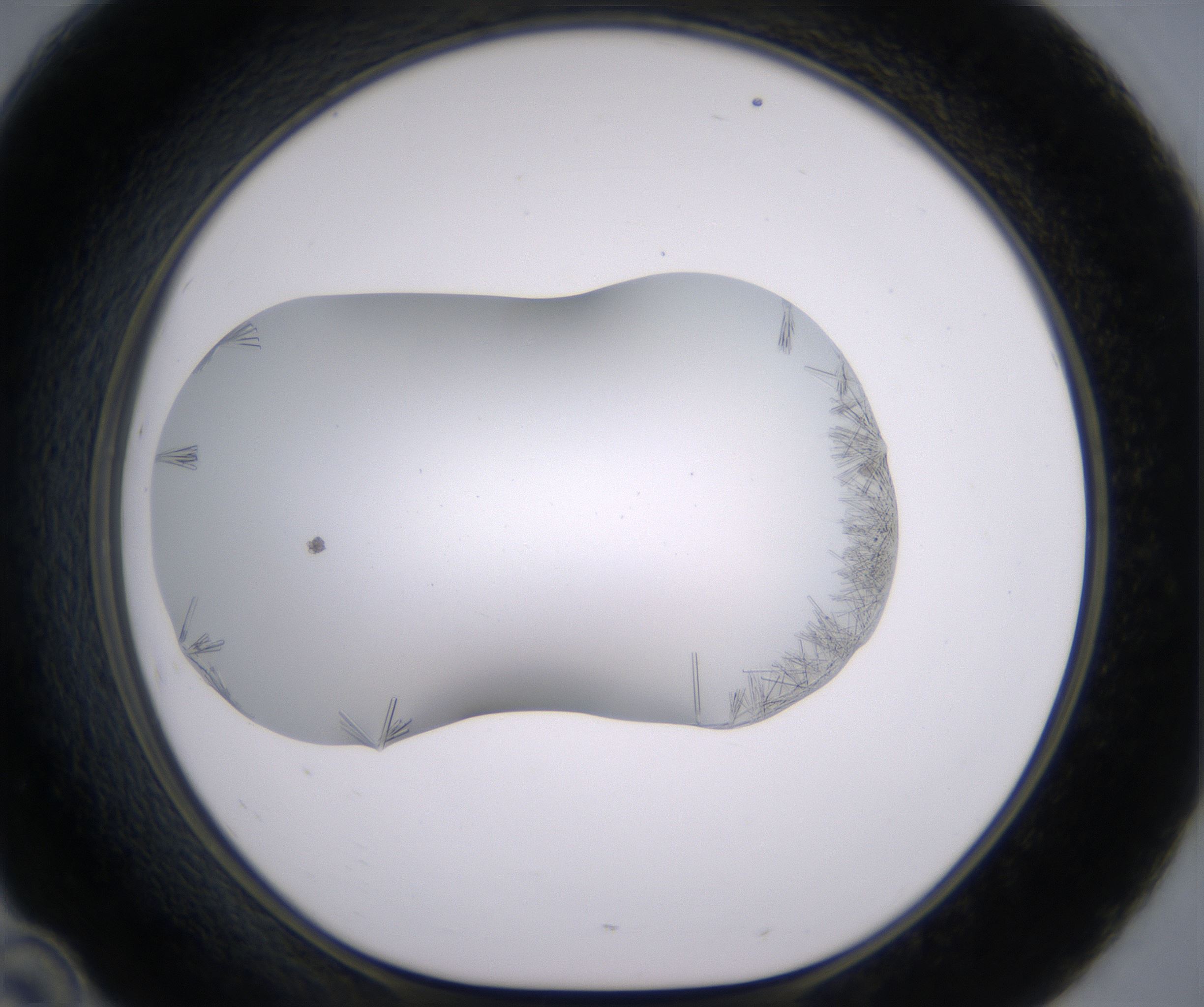 D10_HighResolution_Crystal_1.jpg