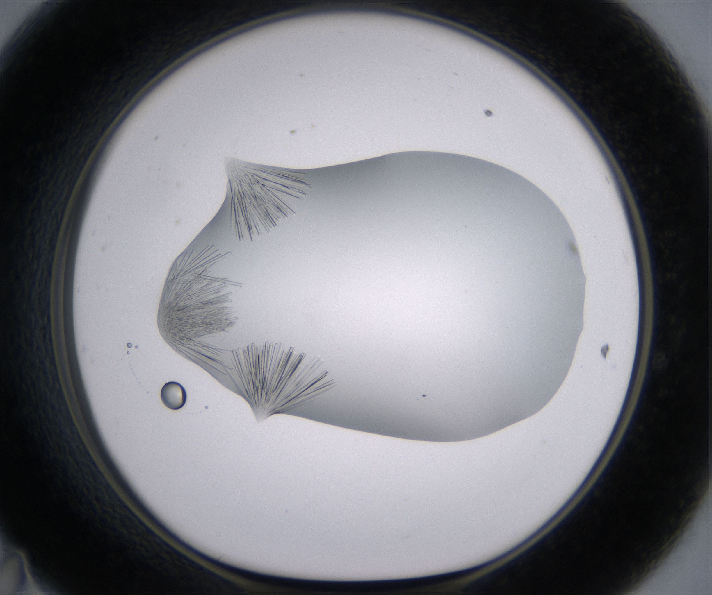 D11_HighResolution_Crystal_1.jpg