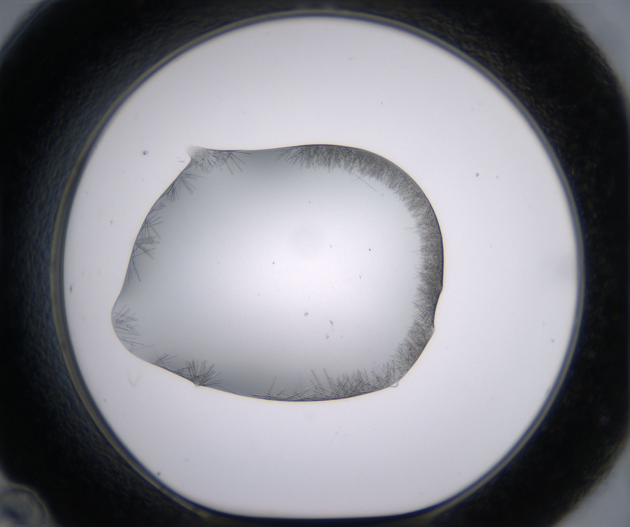 D12_HighResolution_Crystal_1.jpg
