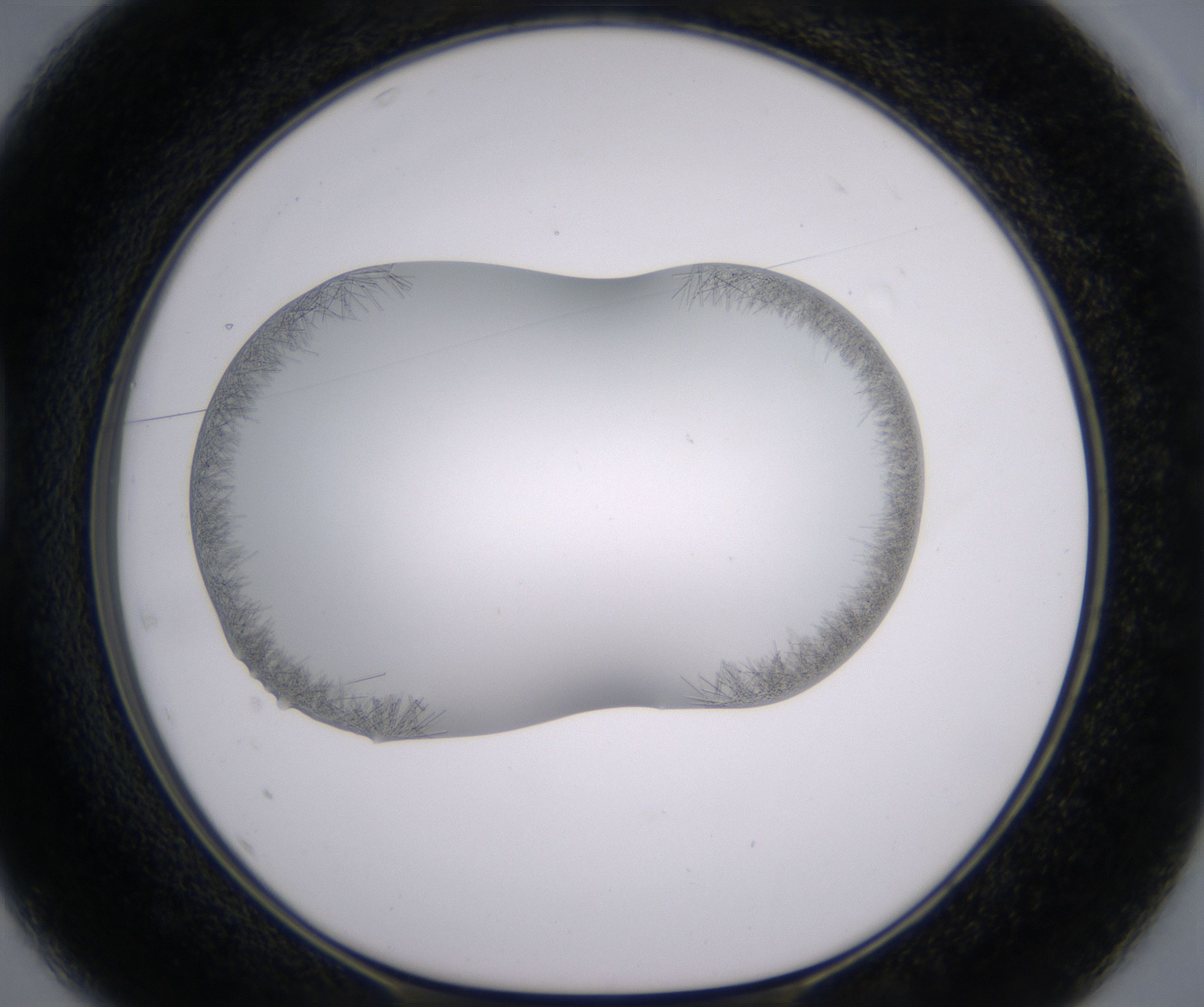 D1_HighResolution_Crystal_1.jpg