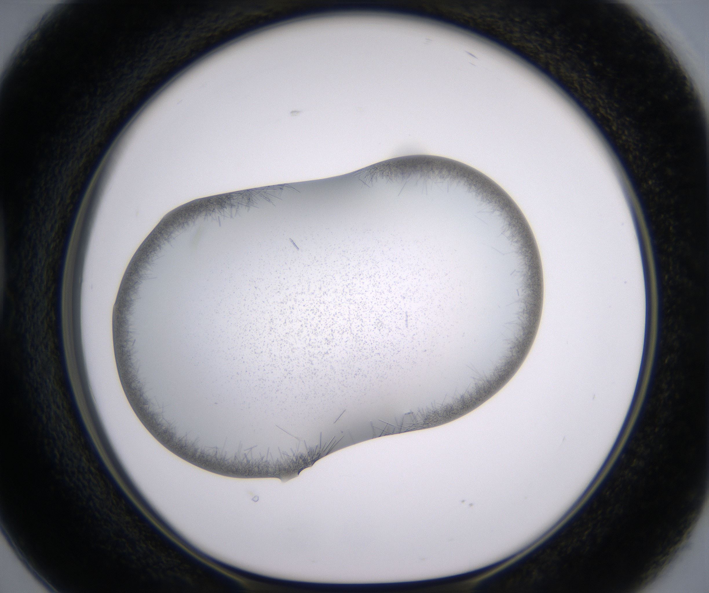 D2_HighResolution_Crystal_1.jpg