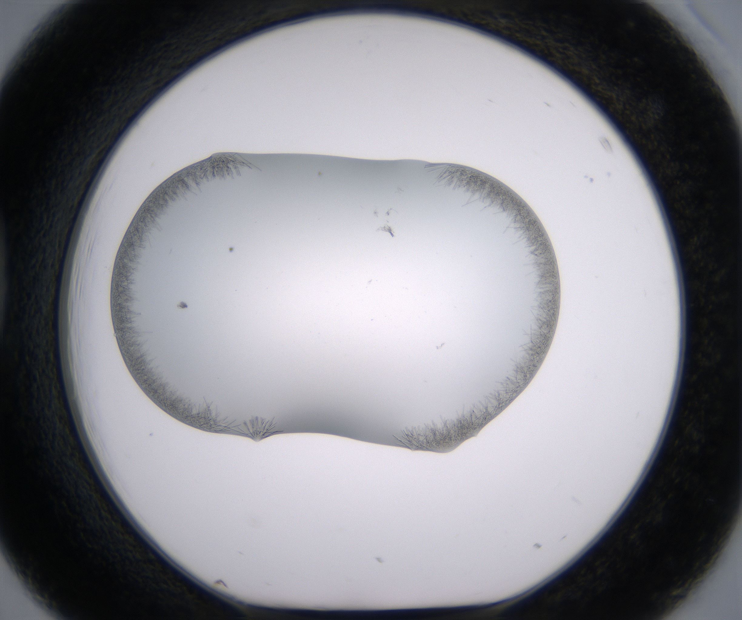 D3_HighResolution_Crystal_1.jpg