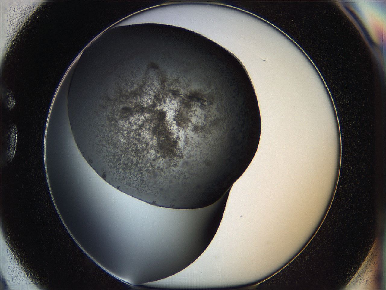 05iv_G3_ImagerDefaults_7.jpg